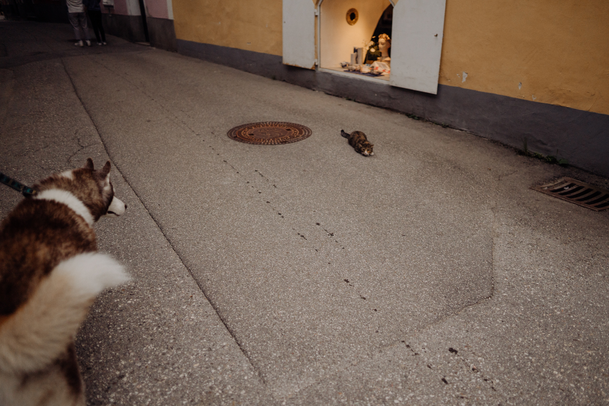 Austria. Фотограф в Праге Анна Лебедева