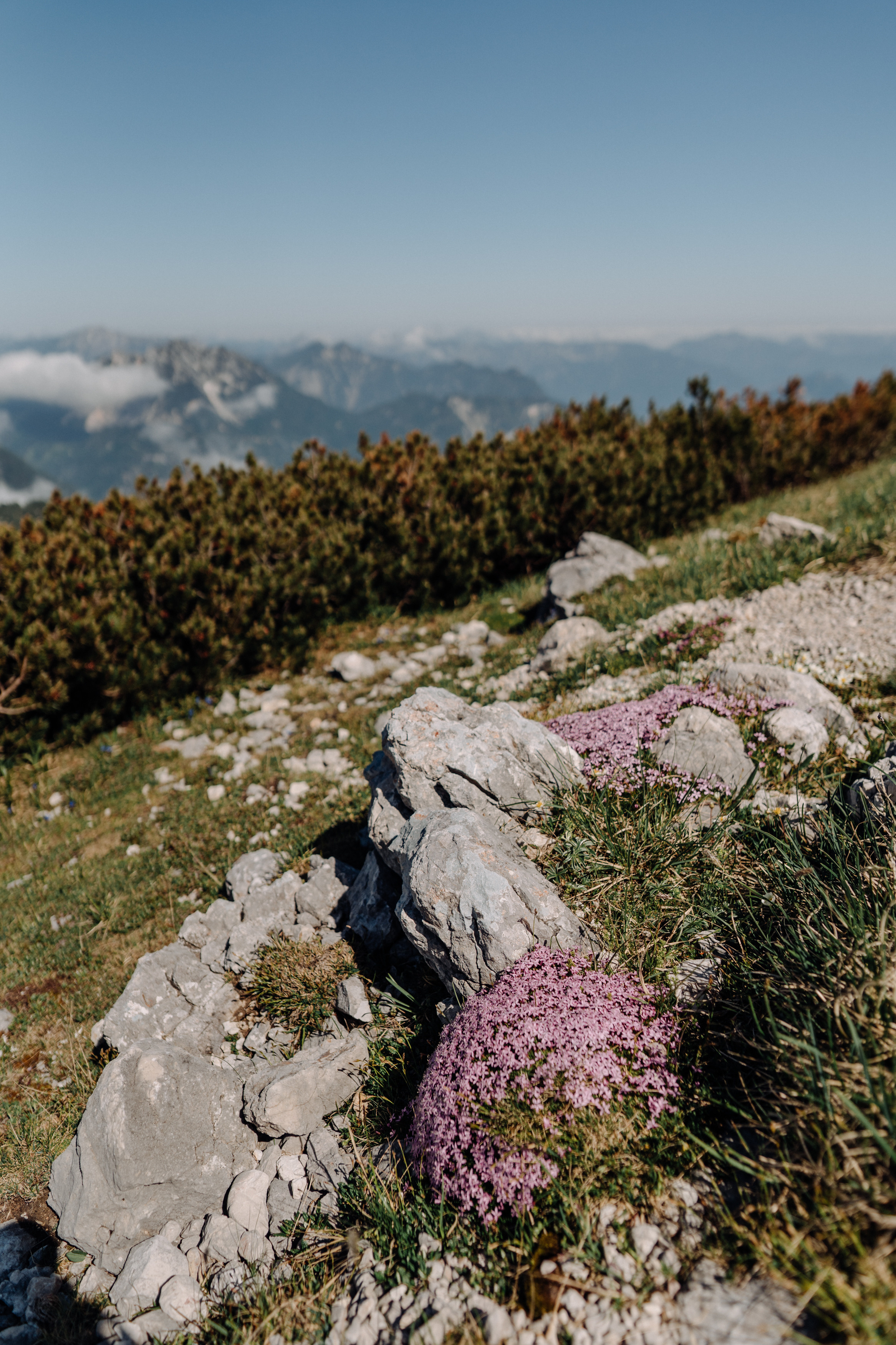 Austria. Фотограф в Праге Анна Лебедева