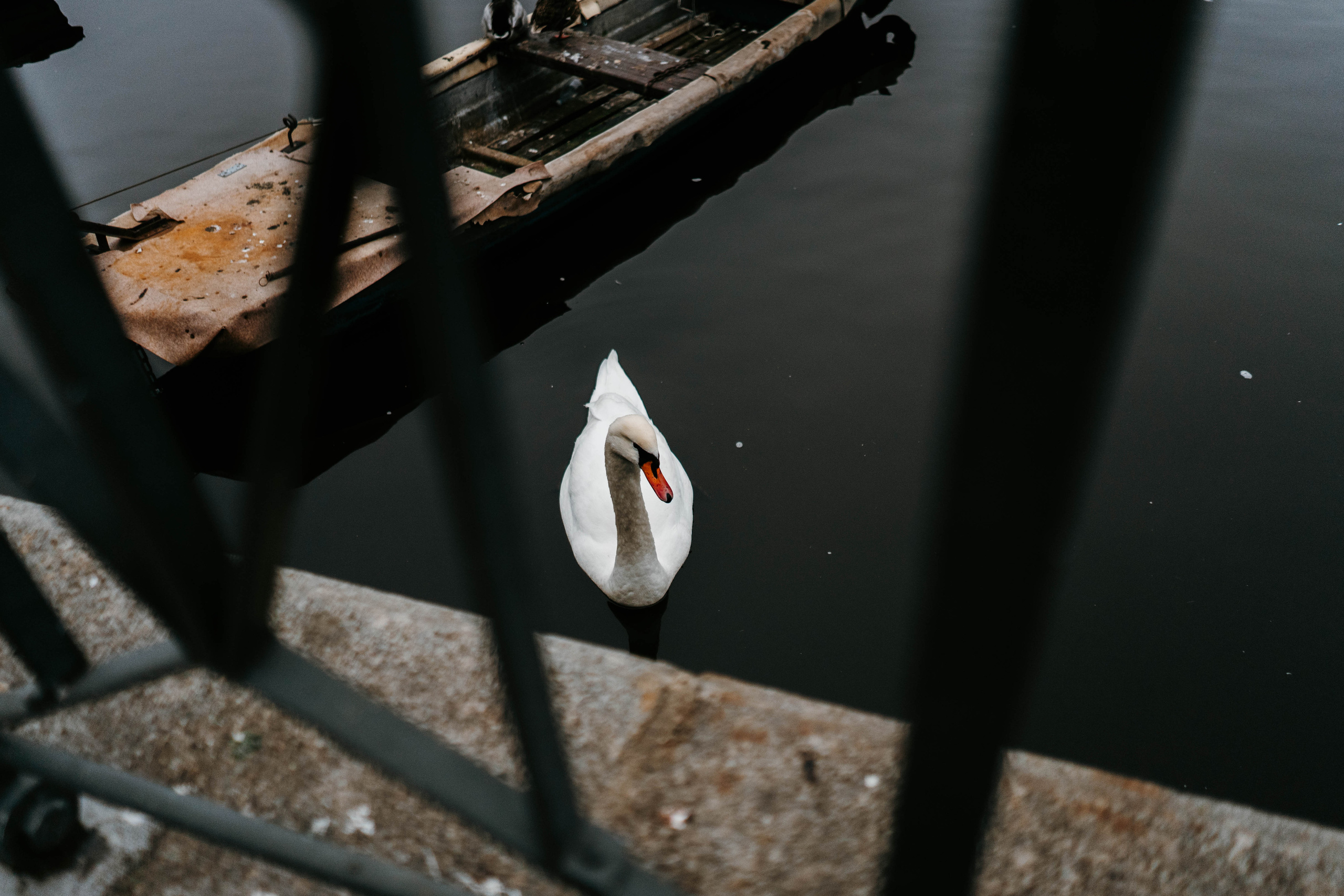 Prague. Фотограф в Праге Анна Лебедева