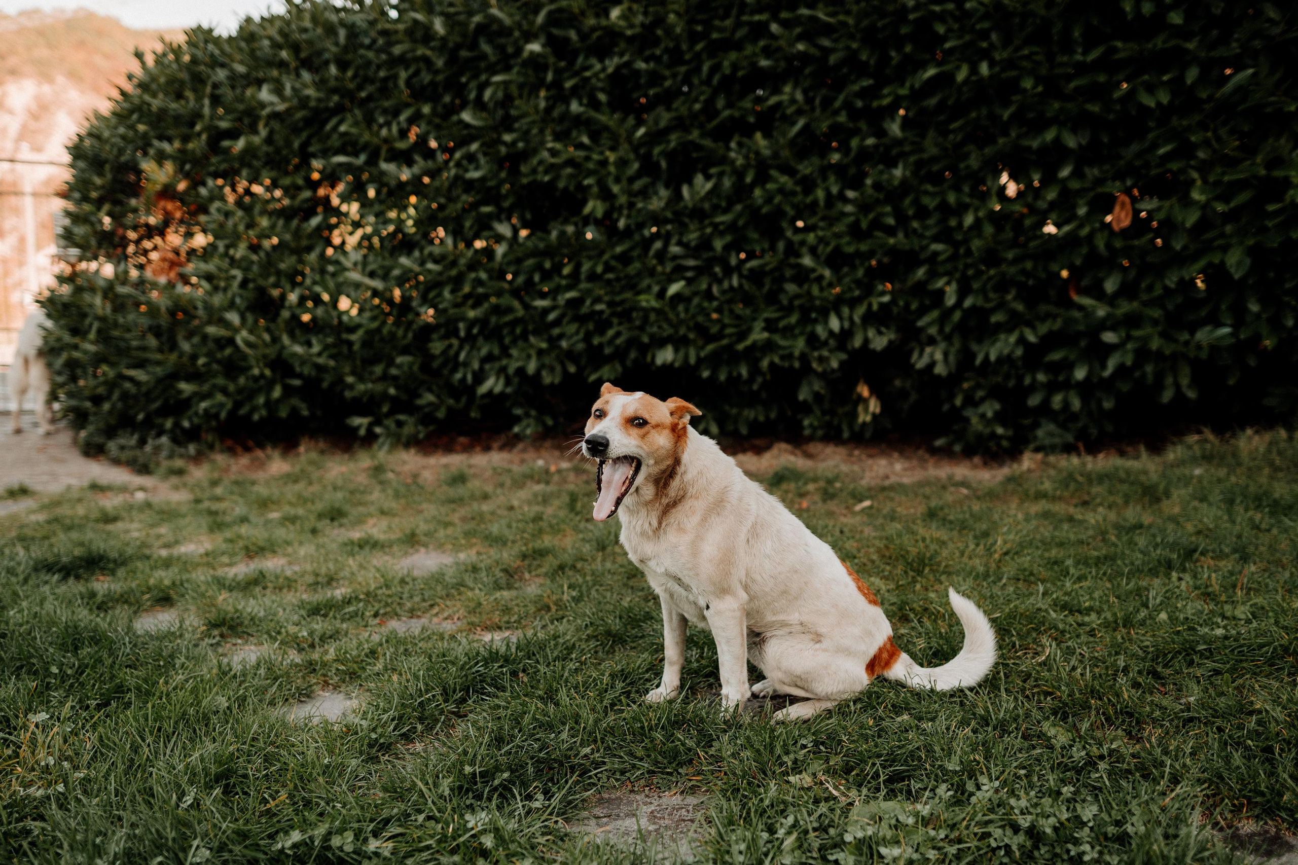 Monterenzio. Country life. Фотограф в Праге Анна Лебедева