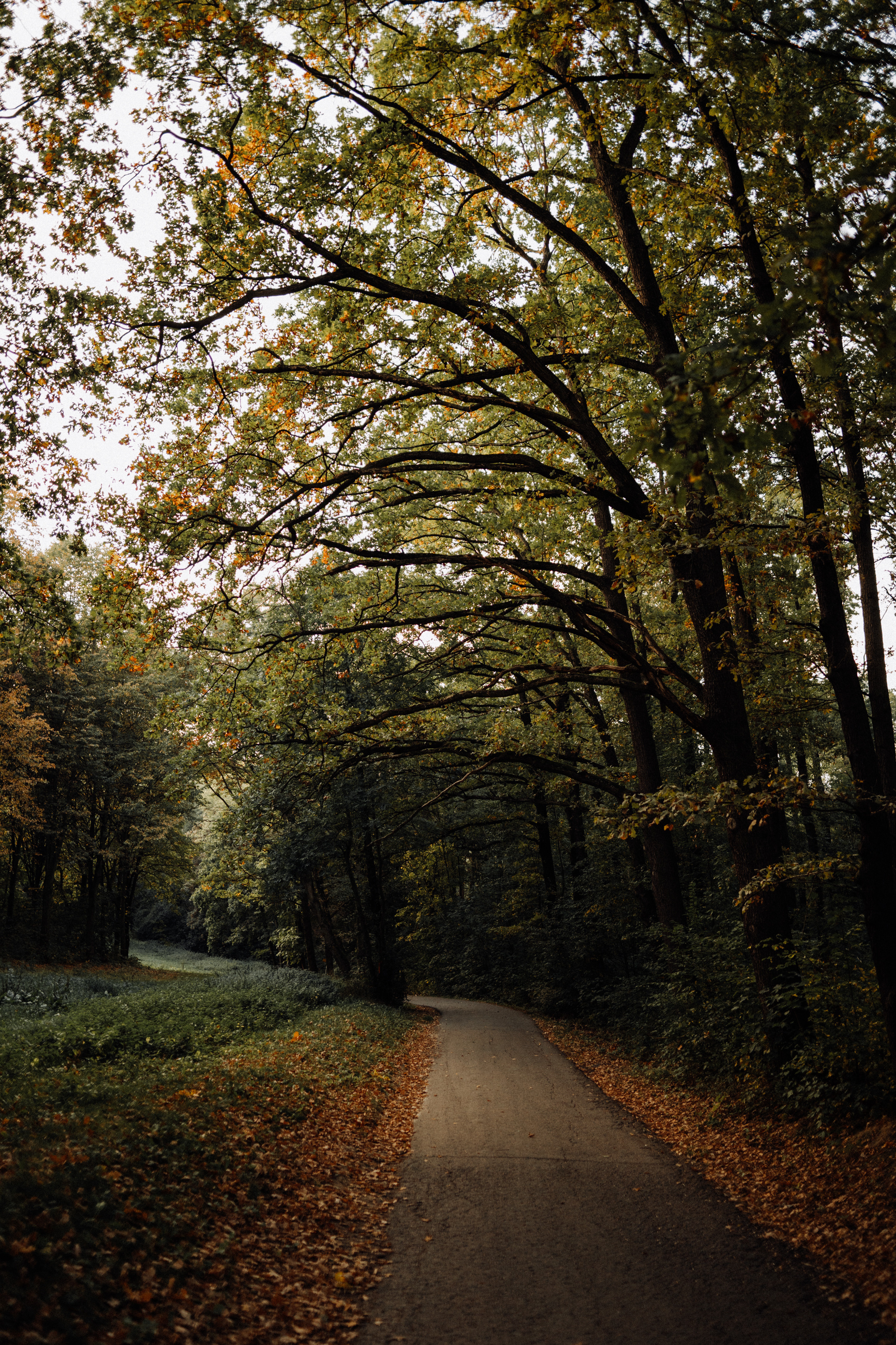 Nature. Фотограф в Праге Анна Лебедева
