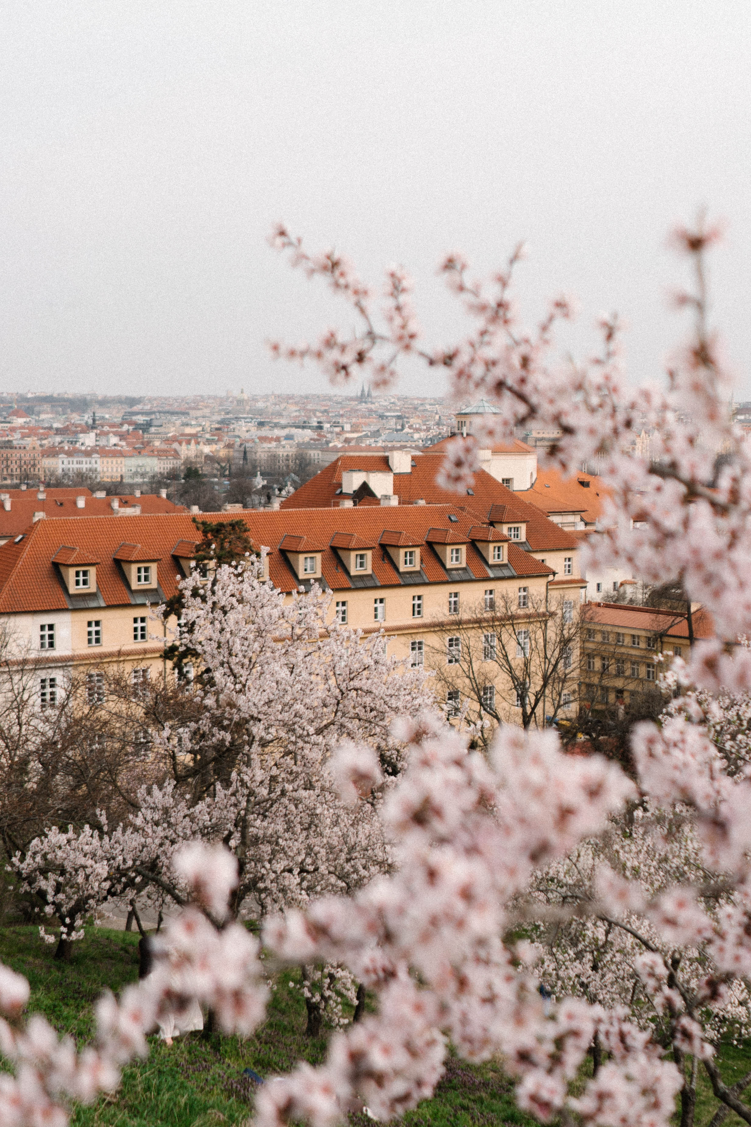 Prague. Фотограф в Праге Анна Лебедева