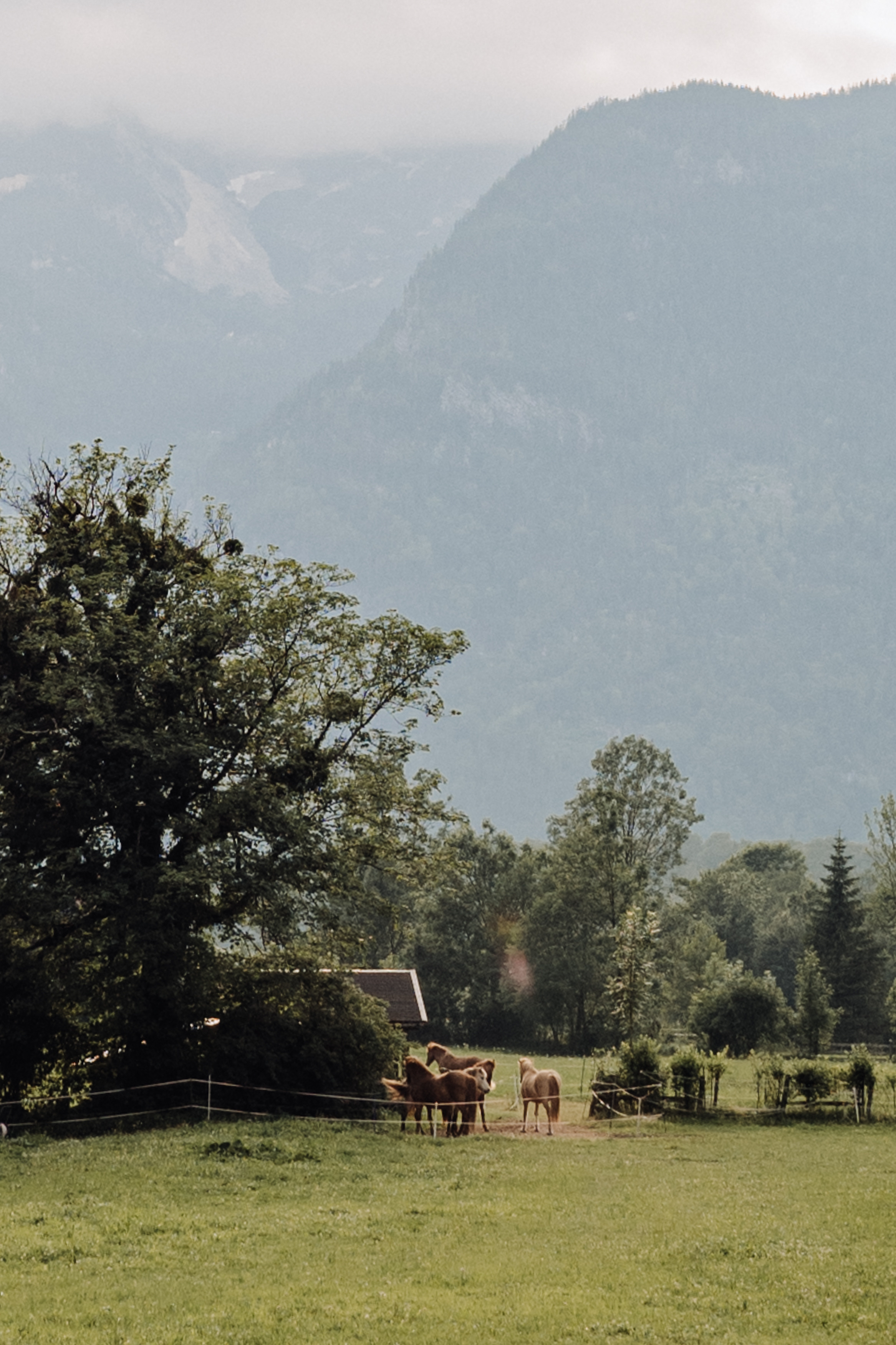 Austria. Фотограф в Праге Анна Лебедева