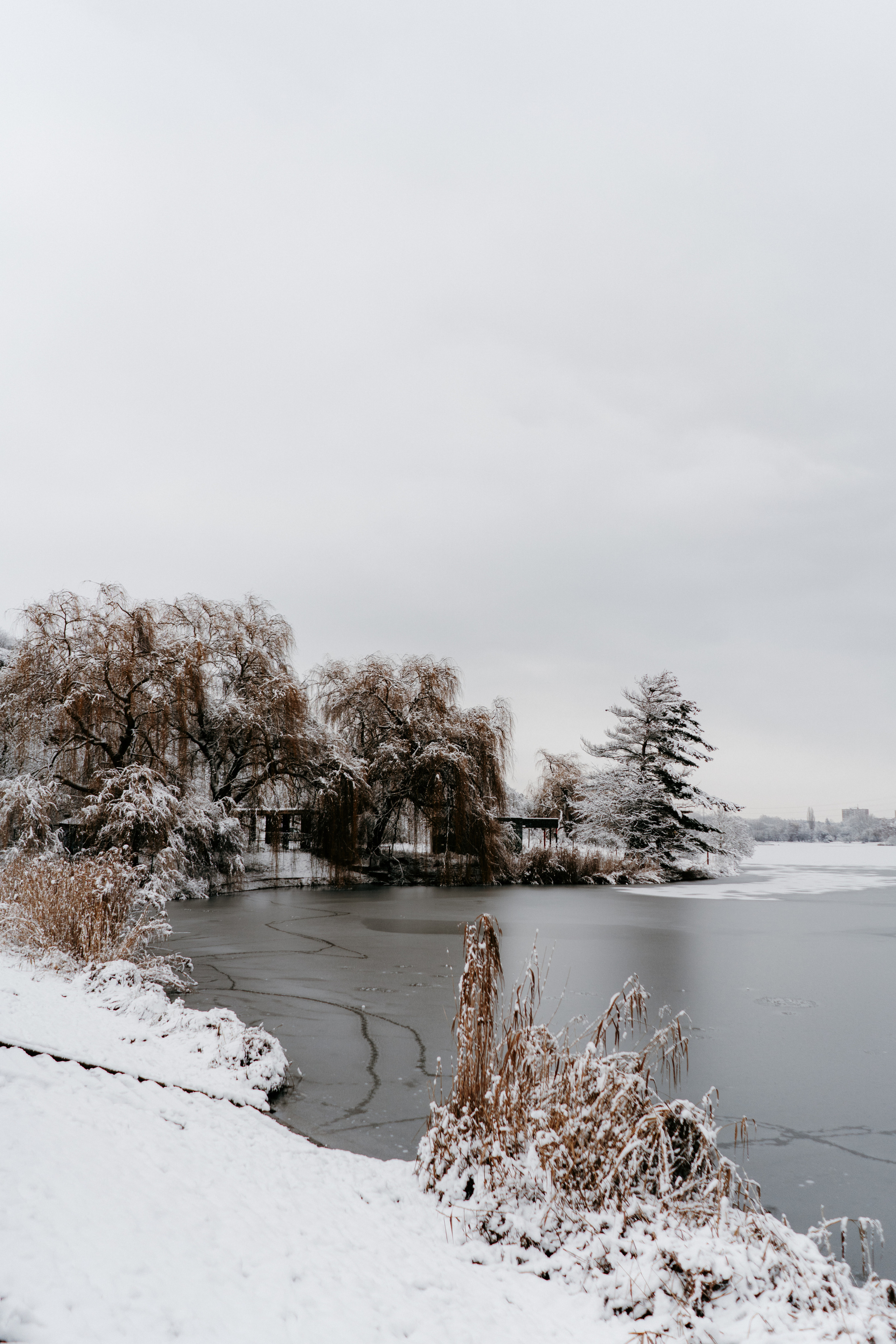 Nature. Фотограф в Праге Анна Лебедева