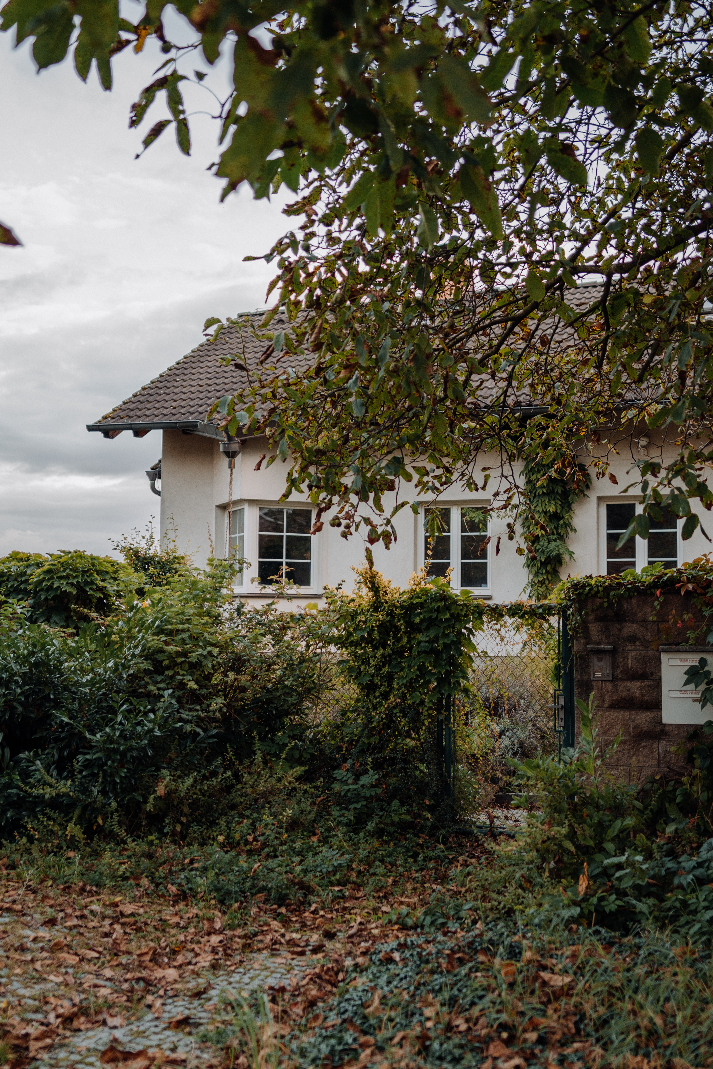 Czech Republic. Фотограф в Праге Анна Лебедева