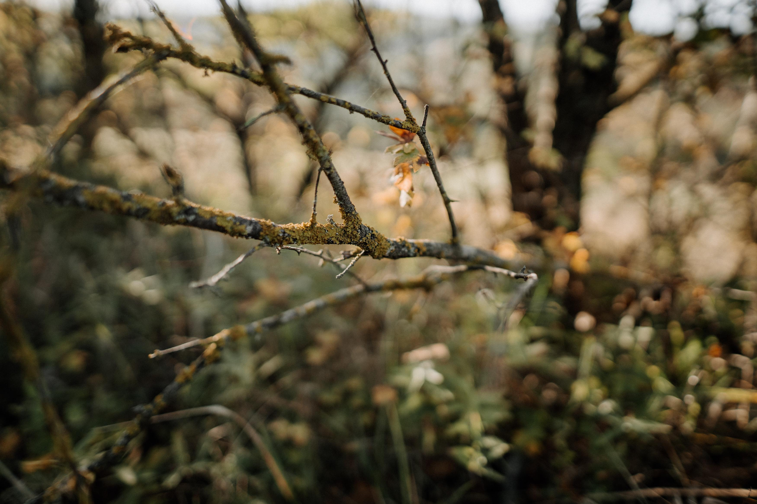Monterenzio. Country life. Фотограф в Праге Анна Лебедева