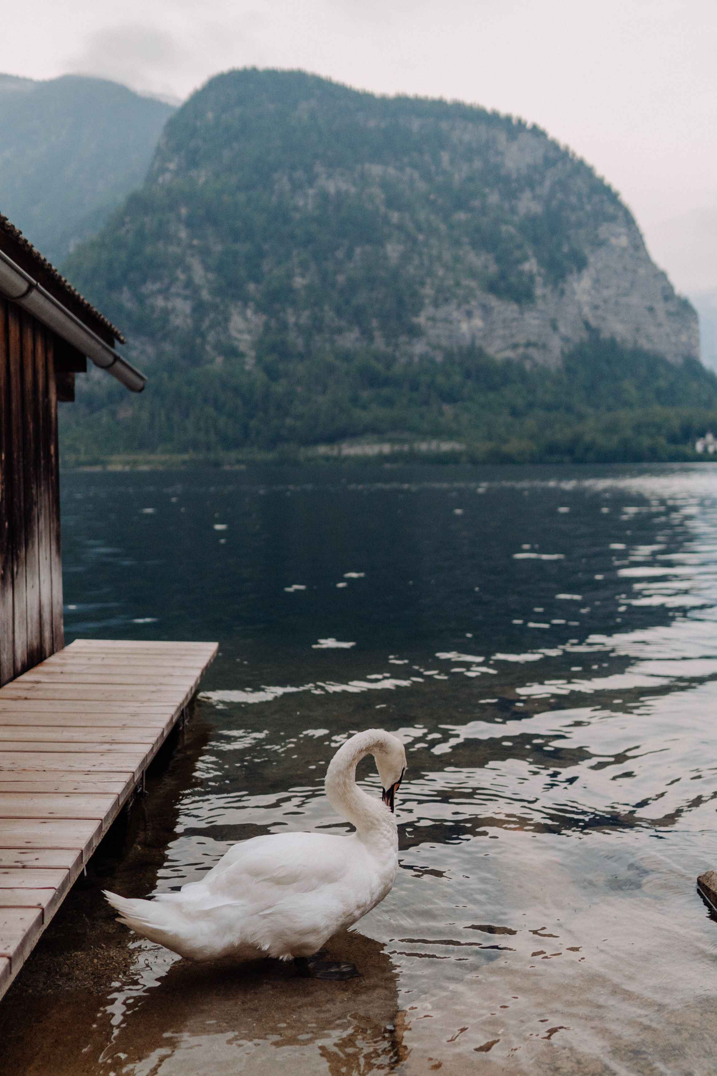 Austria. Фотограф в Праге Анна Лебедева