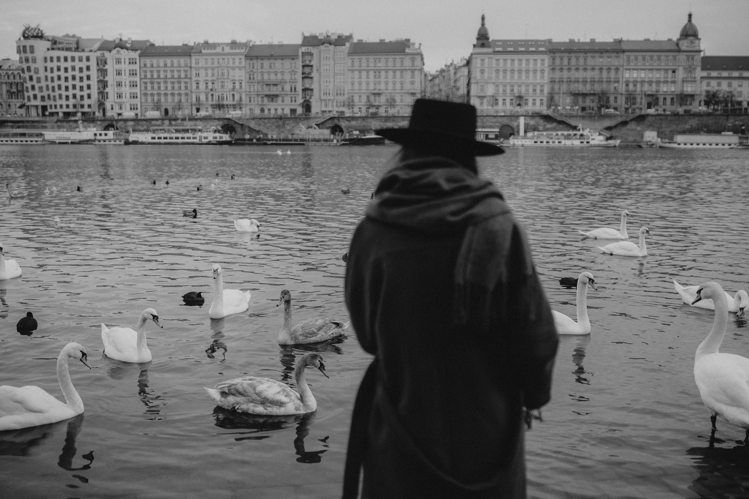 River, coat and birds. Фотограф в Праге Анна Лебедева