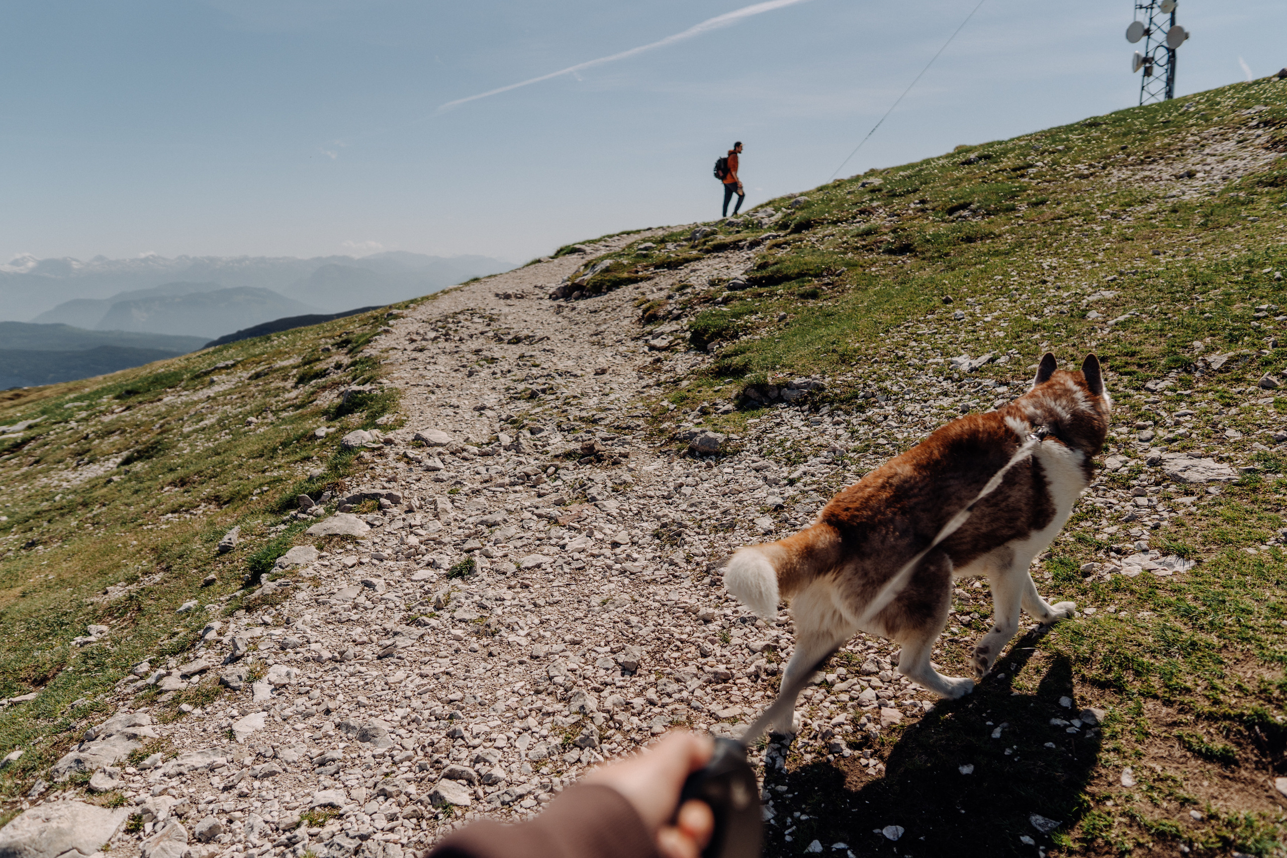 Austria. Фотограф в Праге Анна Лебедева
