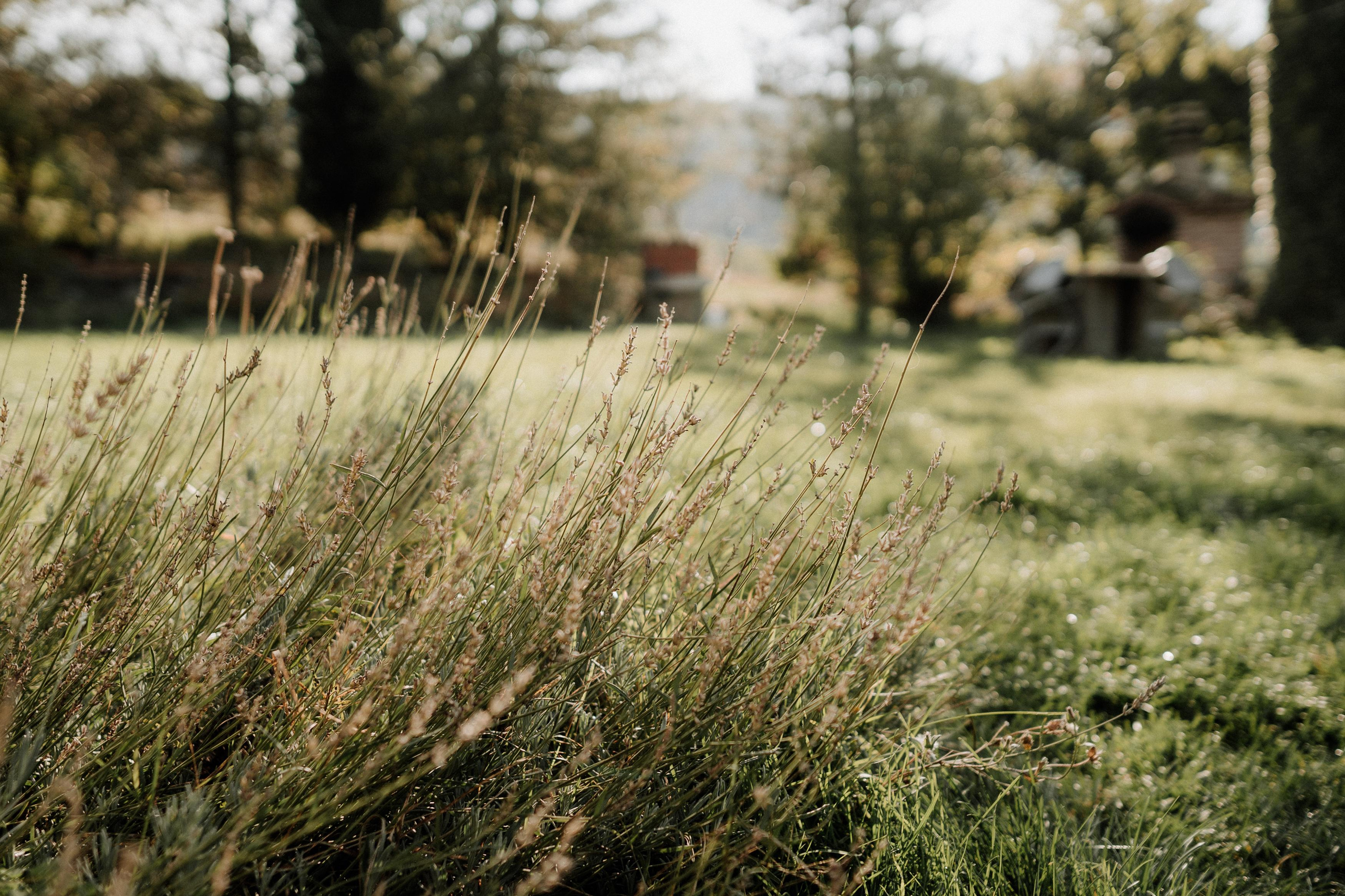 Monterenzio. Country life. Фотограф в Праге Анна Лебедева
