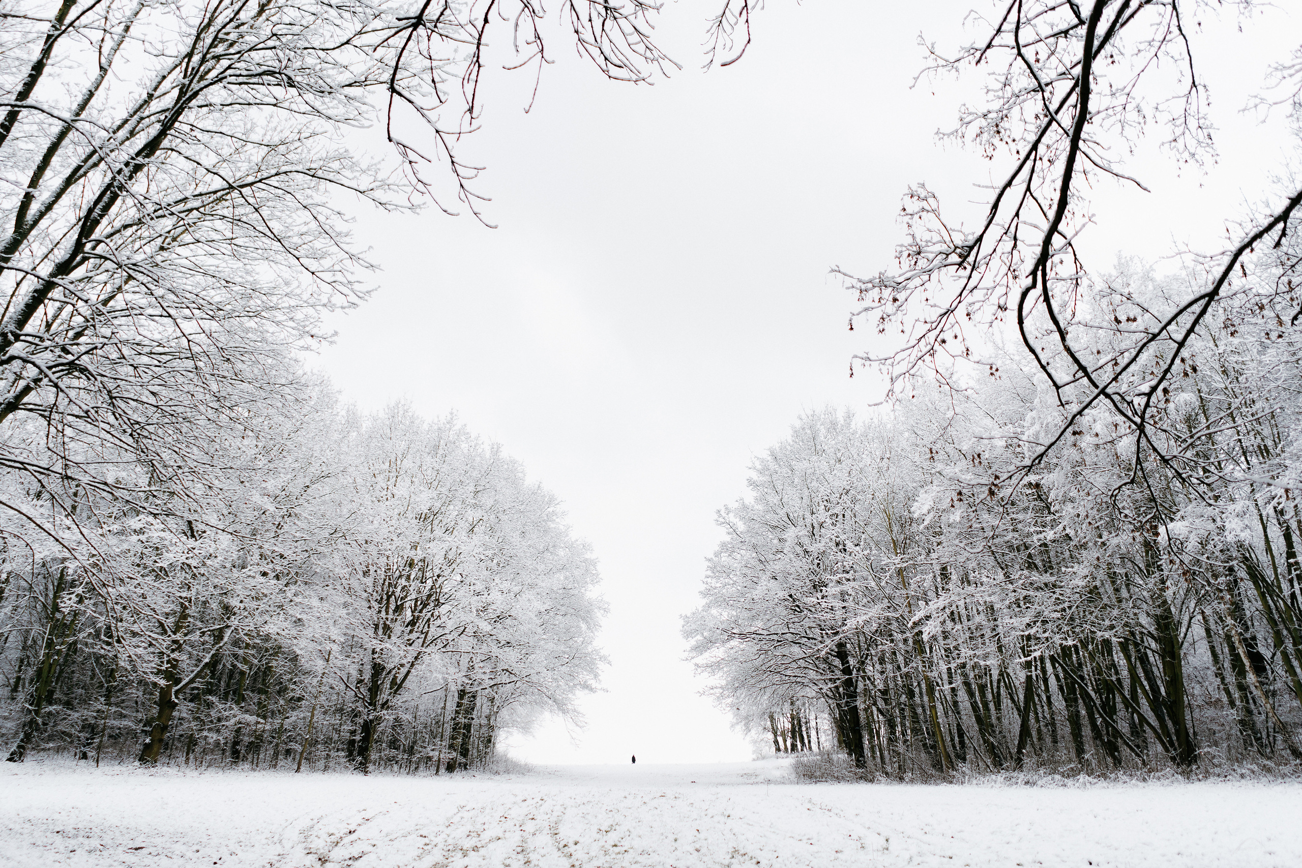 Nature. Фотограф в Праге Анна Лебедева