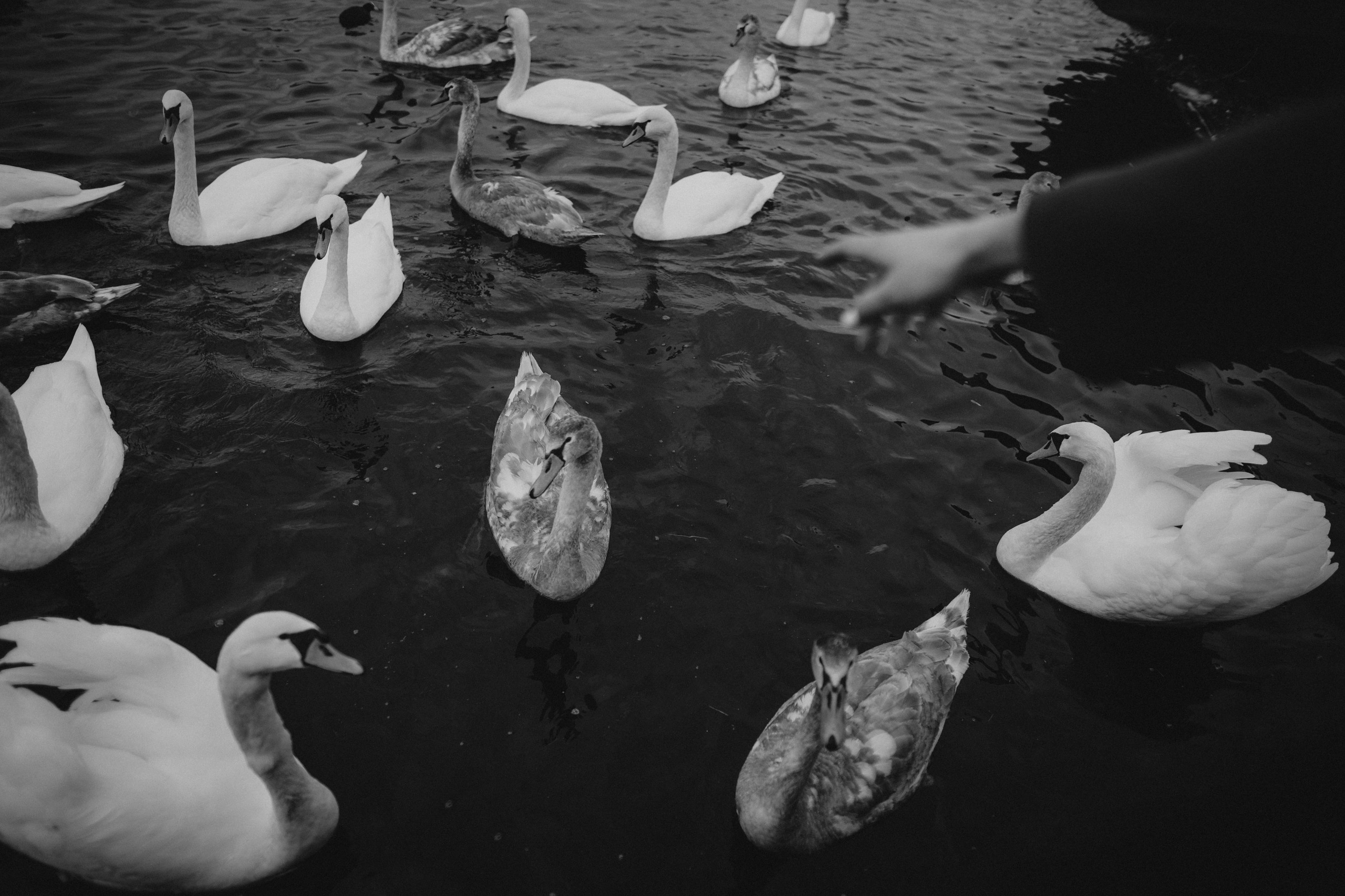 River, coat and birds. Фотограф в Праге Анна Лебедева
