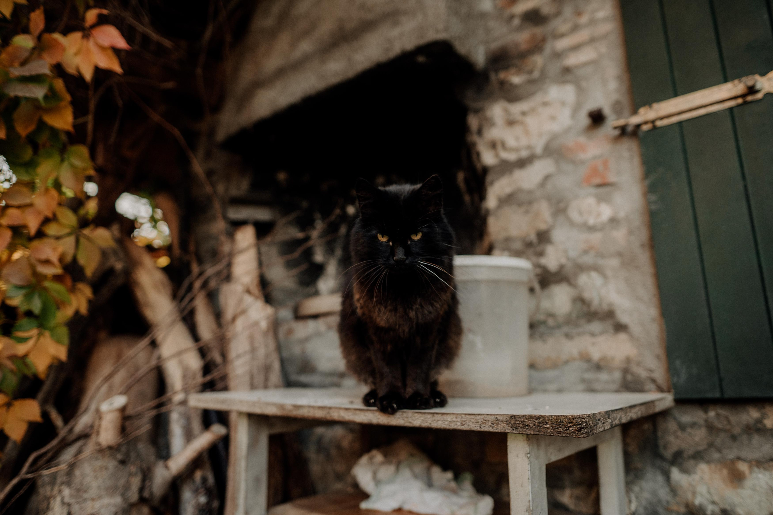 Monterenzio. Country life. Фотограф в Праге Анна Лебедева