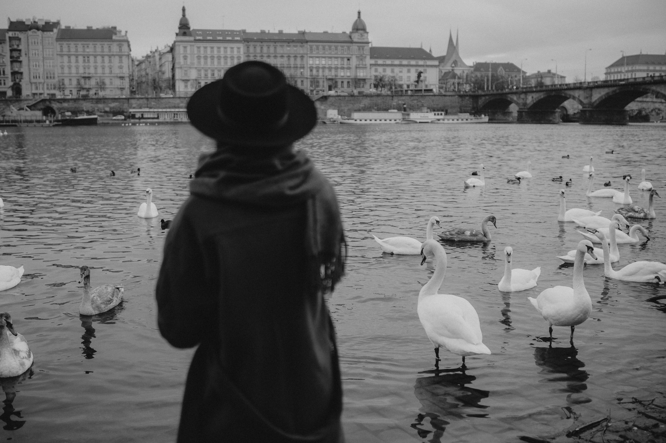 River, coat and birds. Фотограф в Праге Анна Лебедева