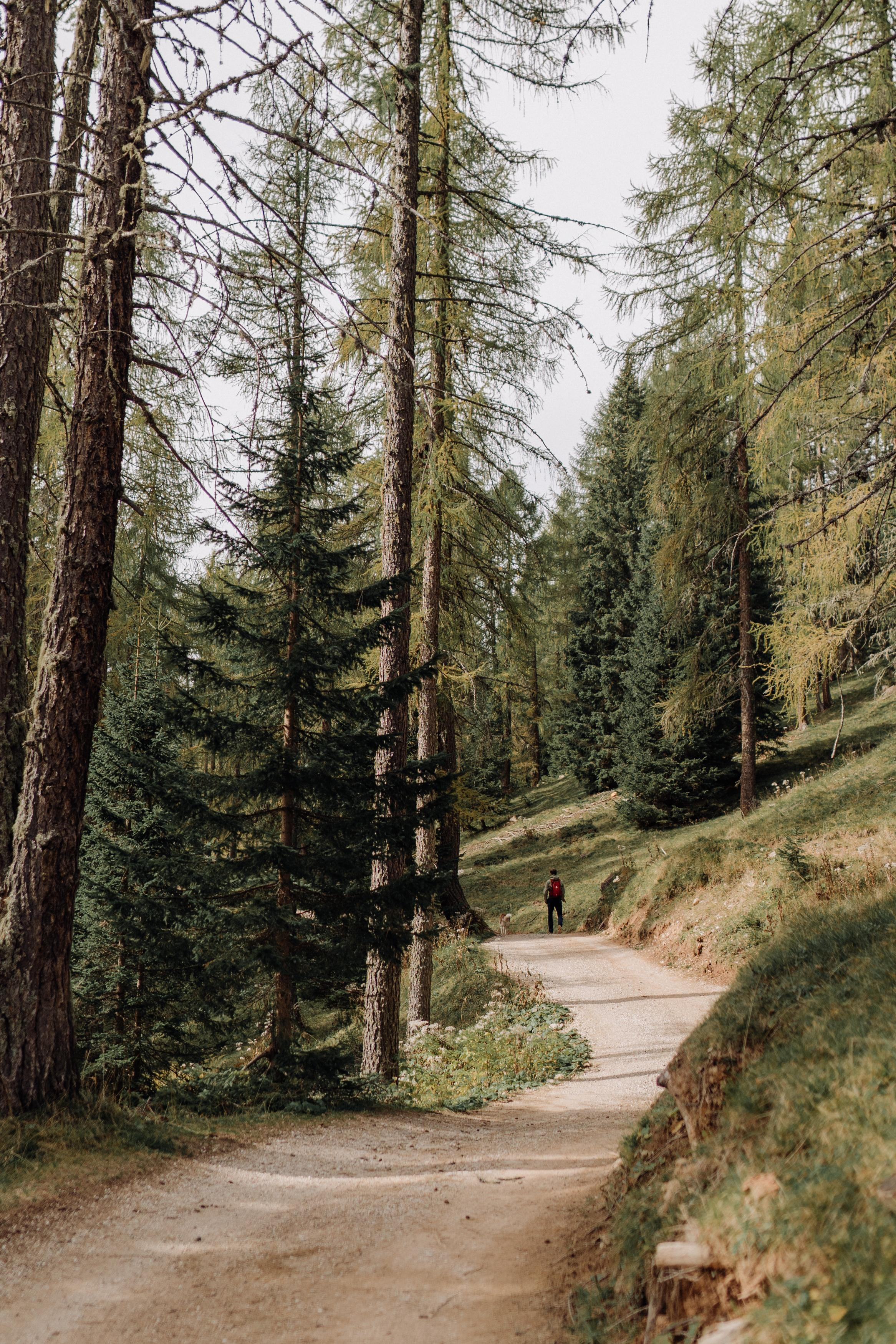 Nature. Фотограф в Праге Анна Лебедева