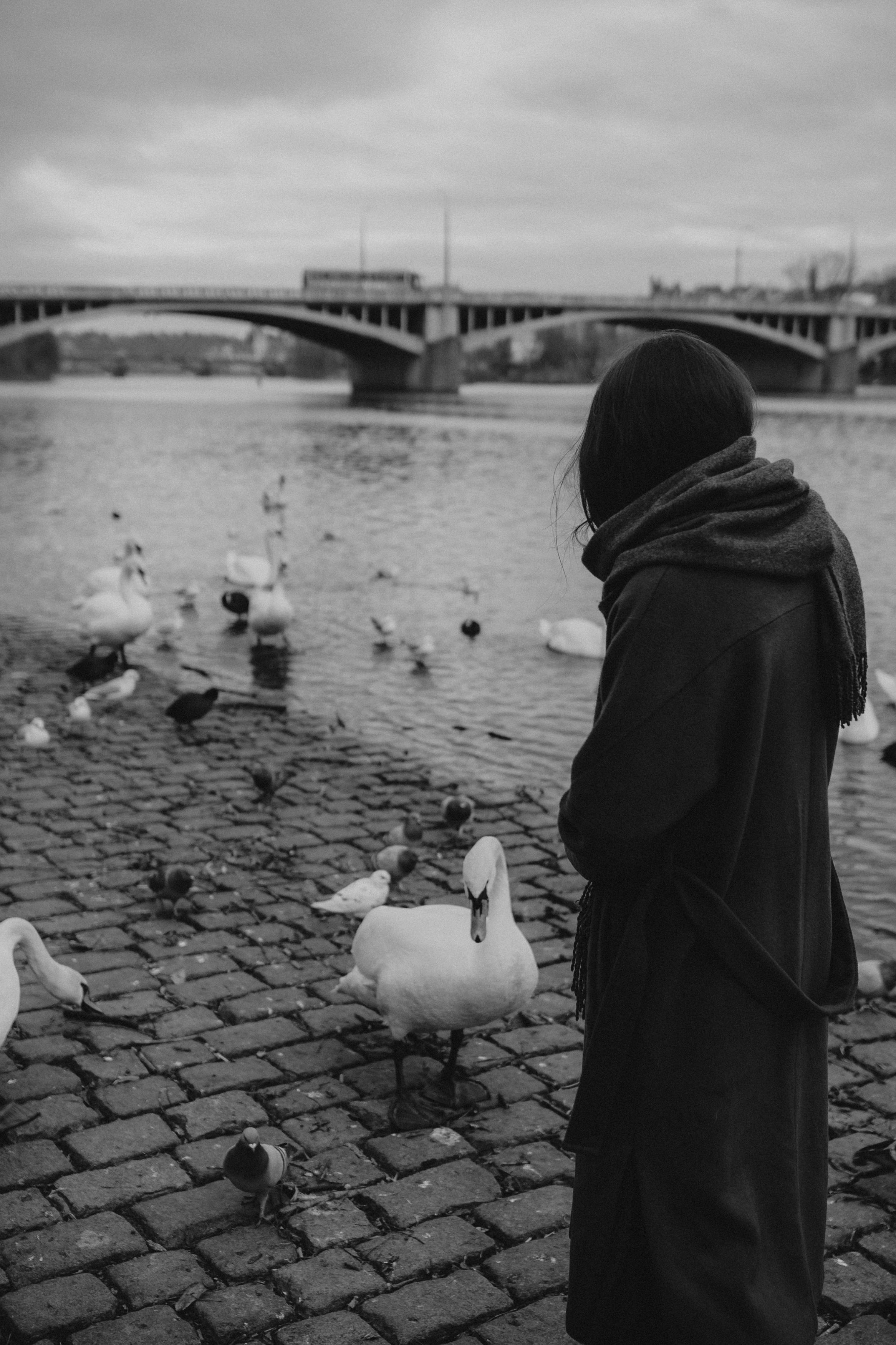 River, coat and birds. Фотограф в Праге Анна Лебедева