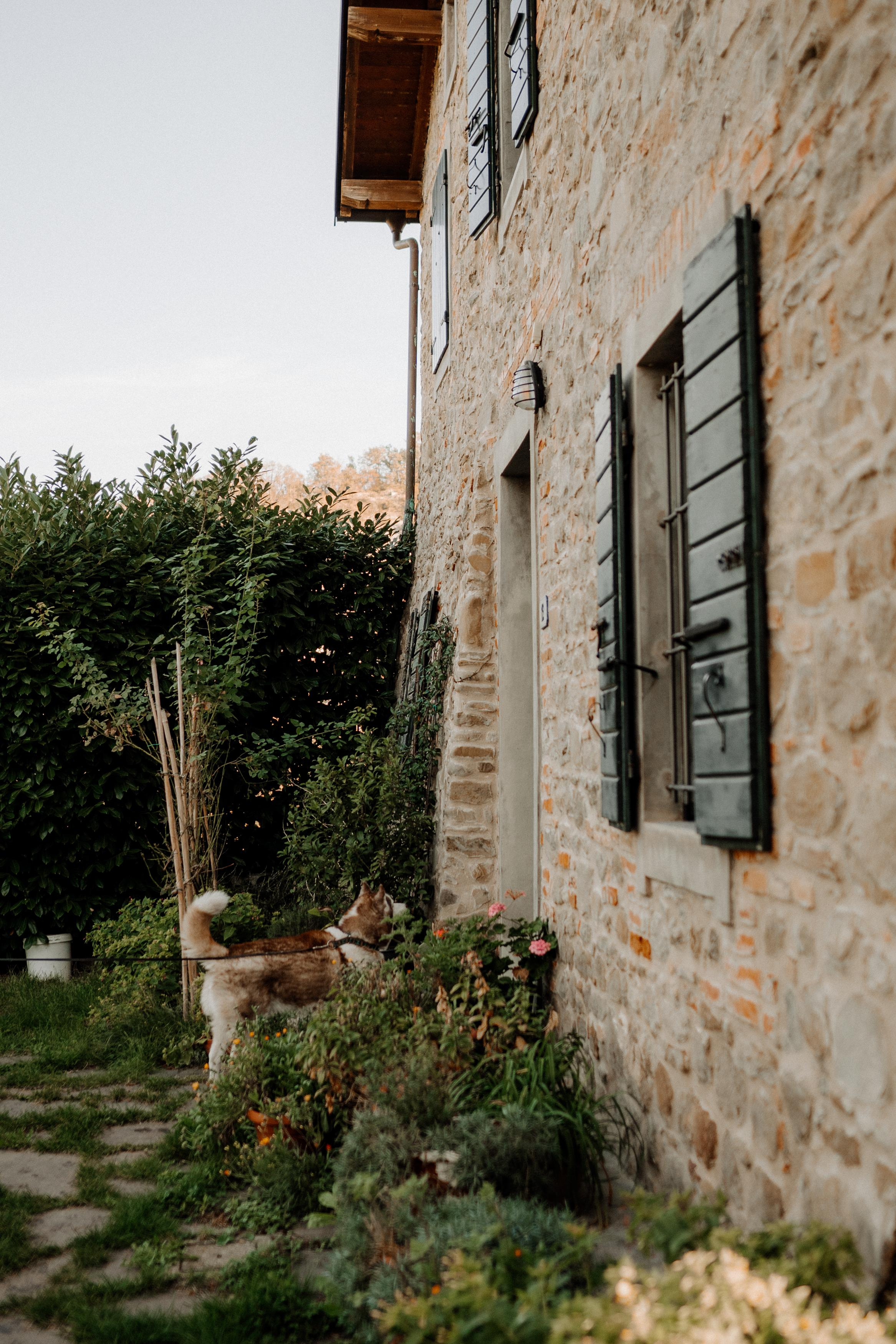 Monterenzio. Country life. Фотограф в Праге Анна Лебедева
