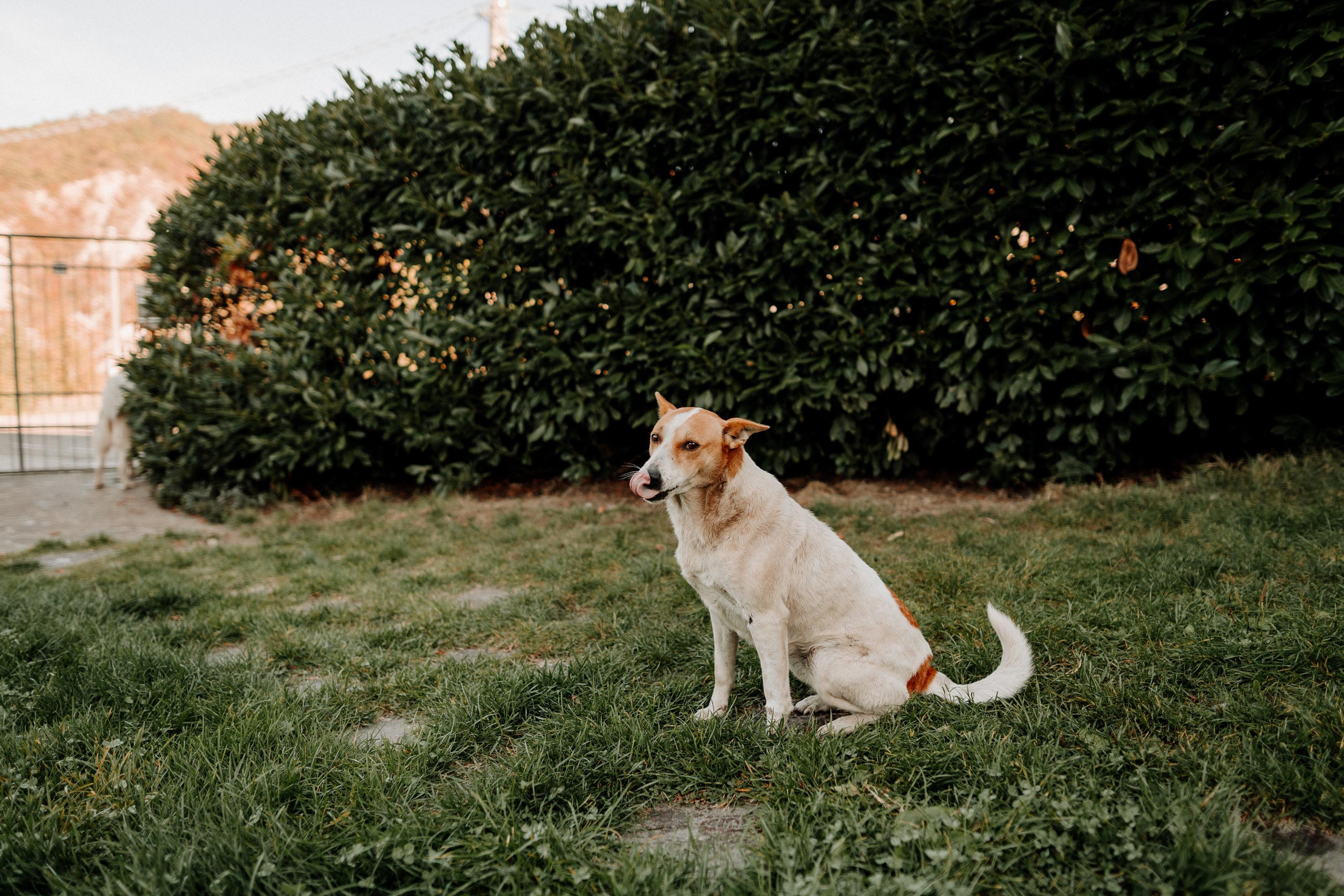 Monterenzio. Country life. Фотограф в Праге Анна Лебедева