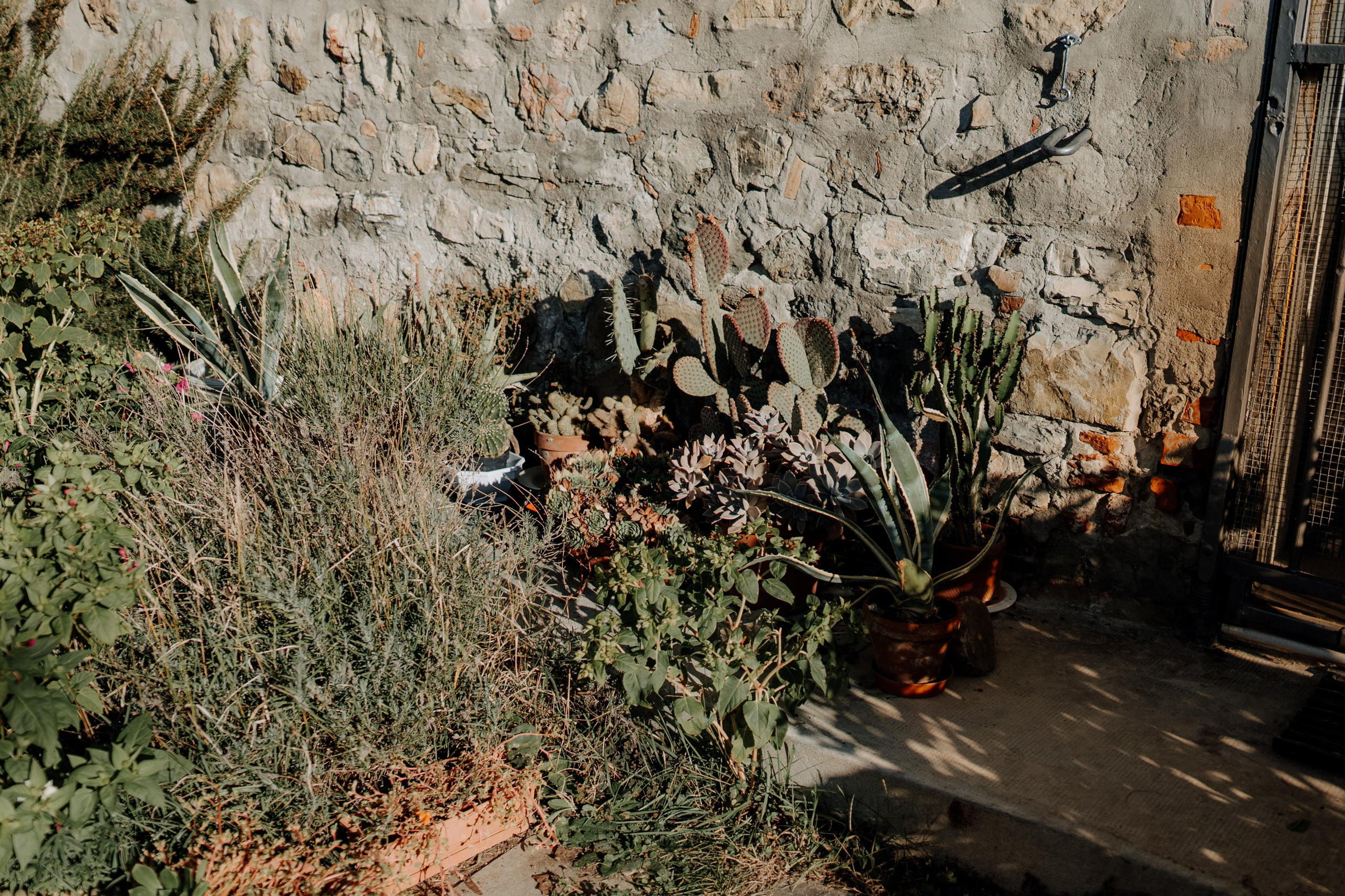 Monterenzio. Country life. Фотограф в Праге Анна Лебедева