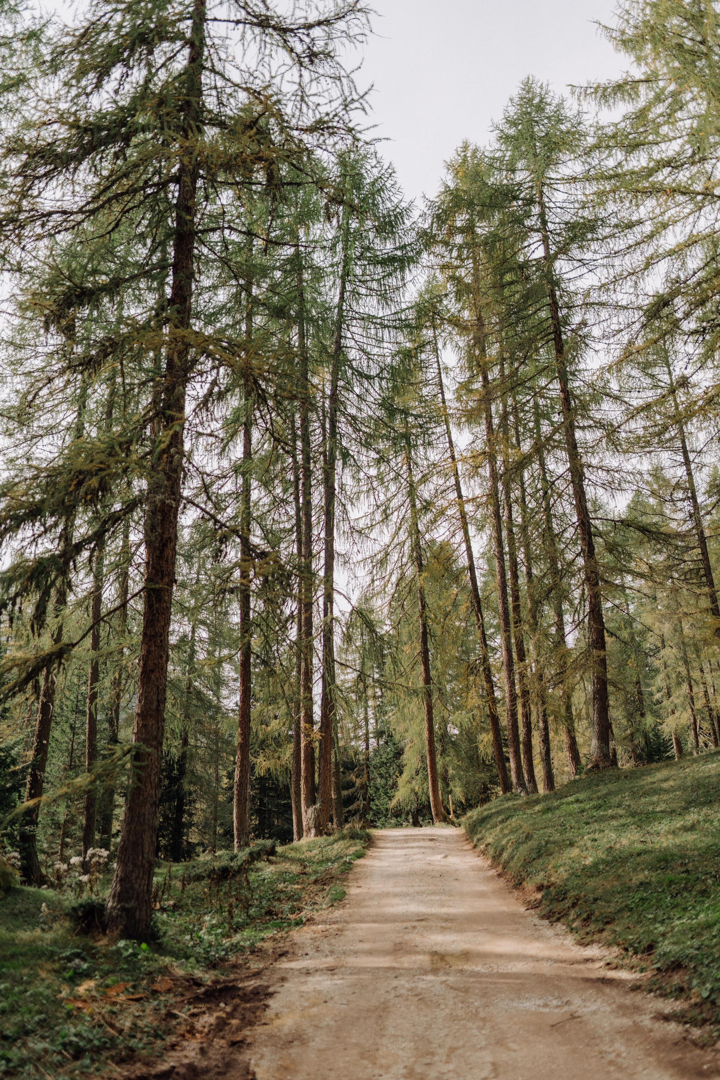 Nature. Фотограф в Праге Анна Лебедева