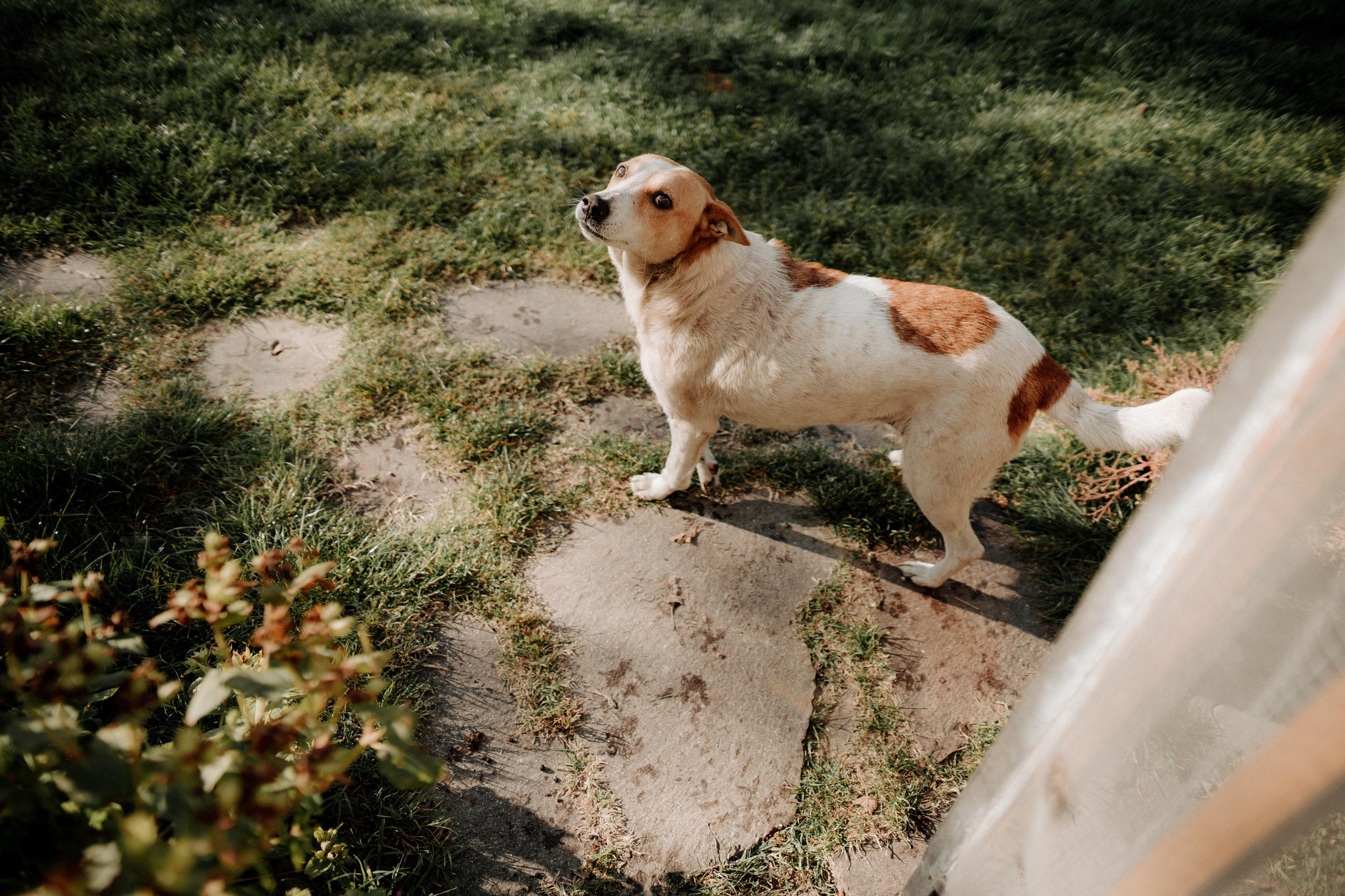 Monterenzio. Country life. Фотограф в Праге Анна Лебедева