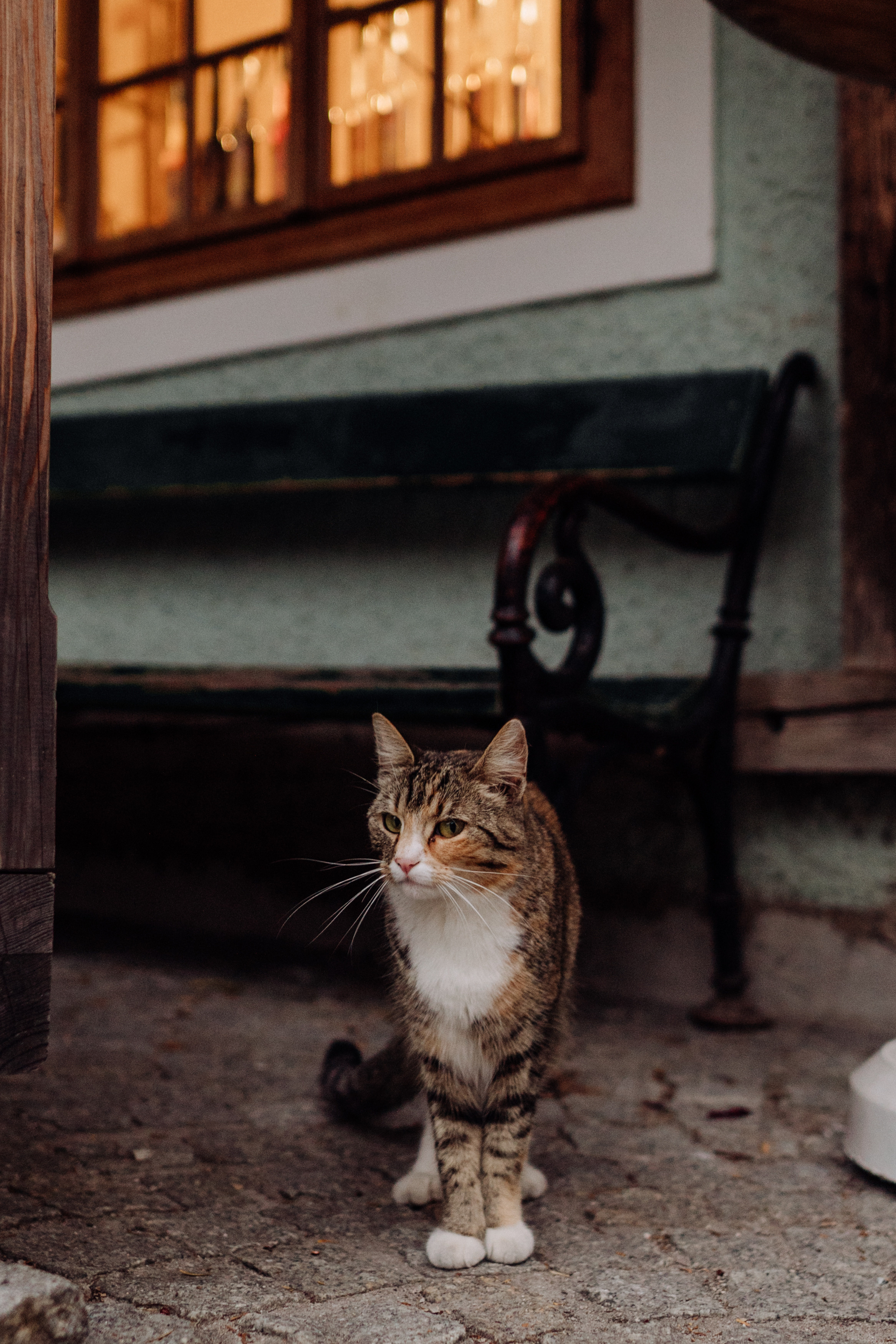Austria. Фотограф в Праге Анна Лебедева