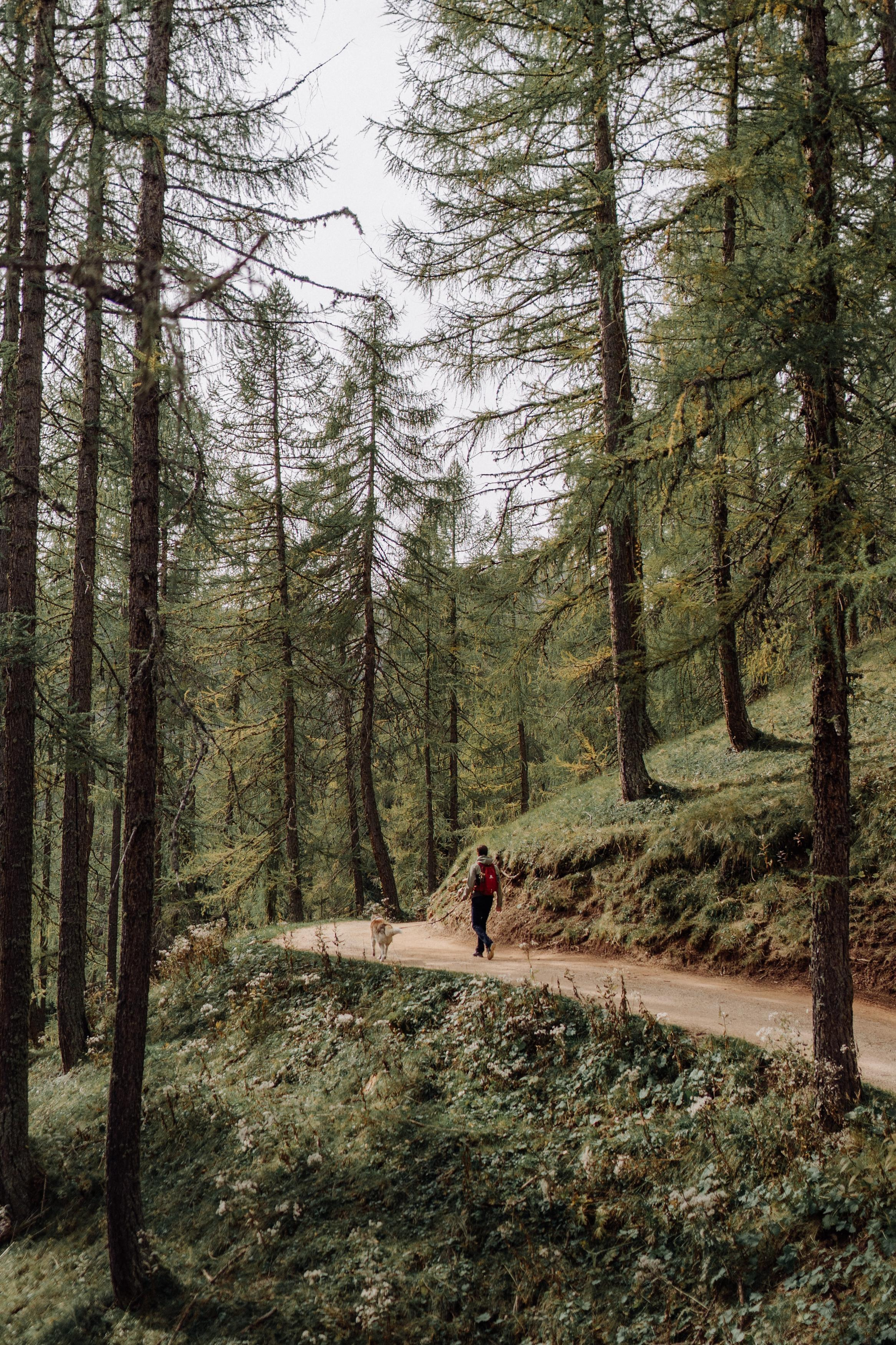 Nature. Фотограф в Праге Анна Лебедева