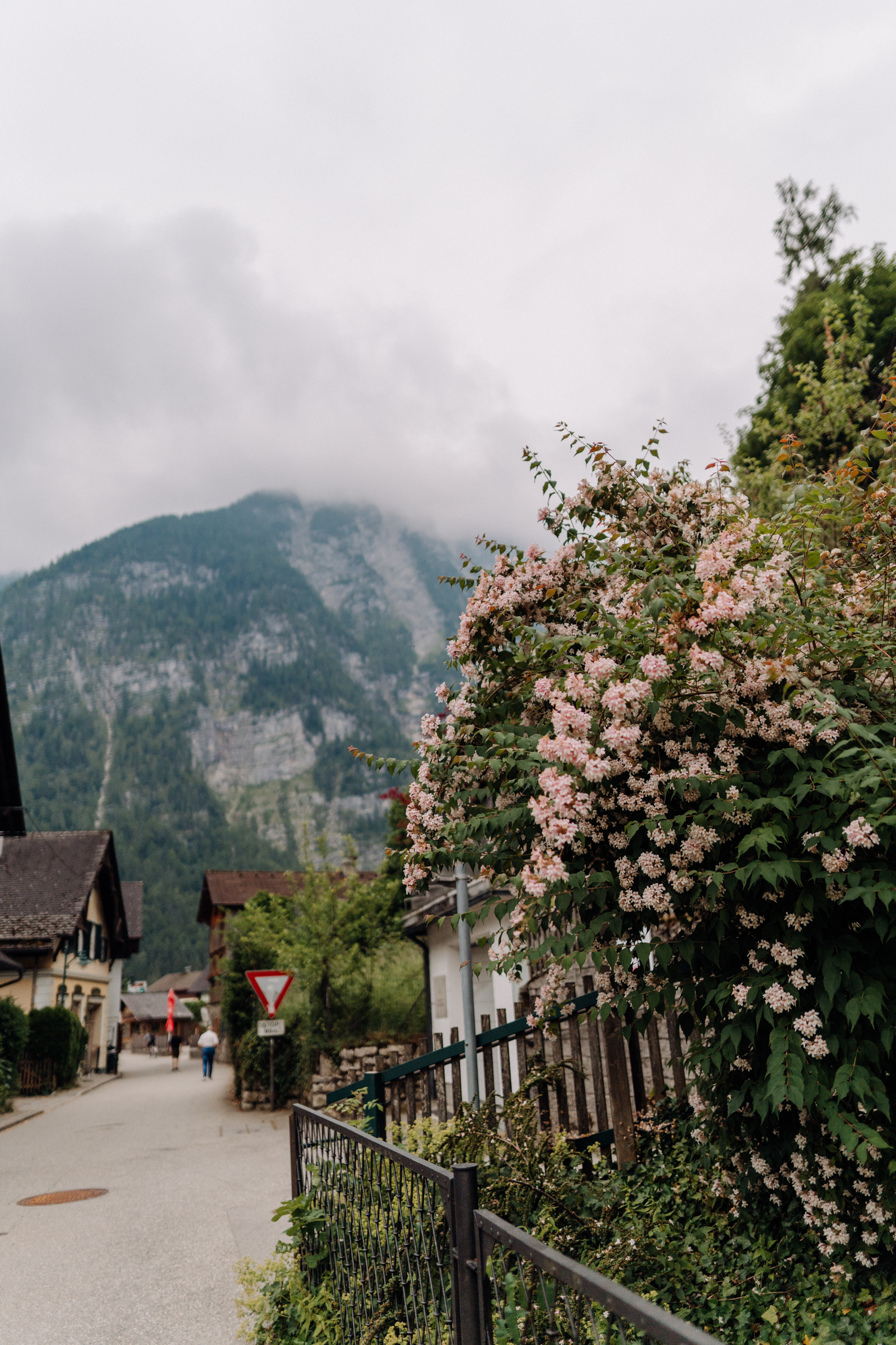 Austria. Фотограф в Праге Анна Лебедева