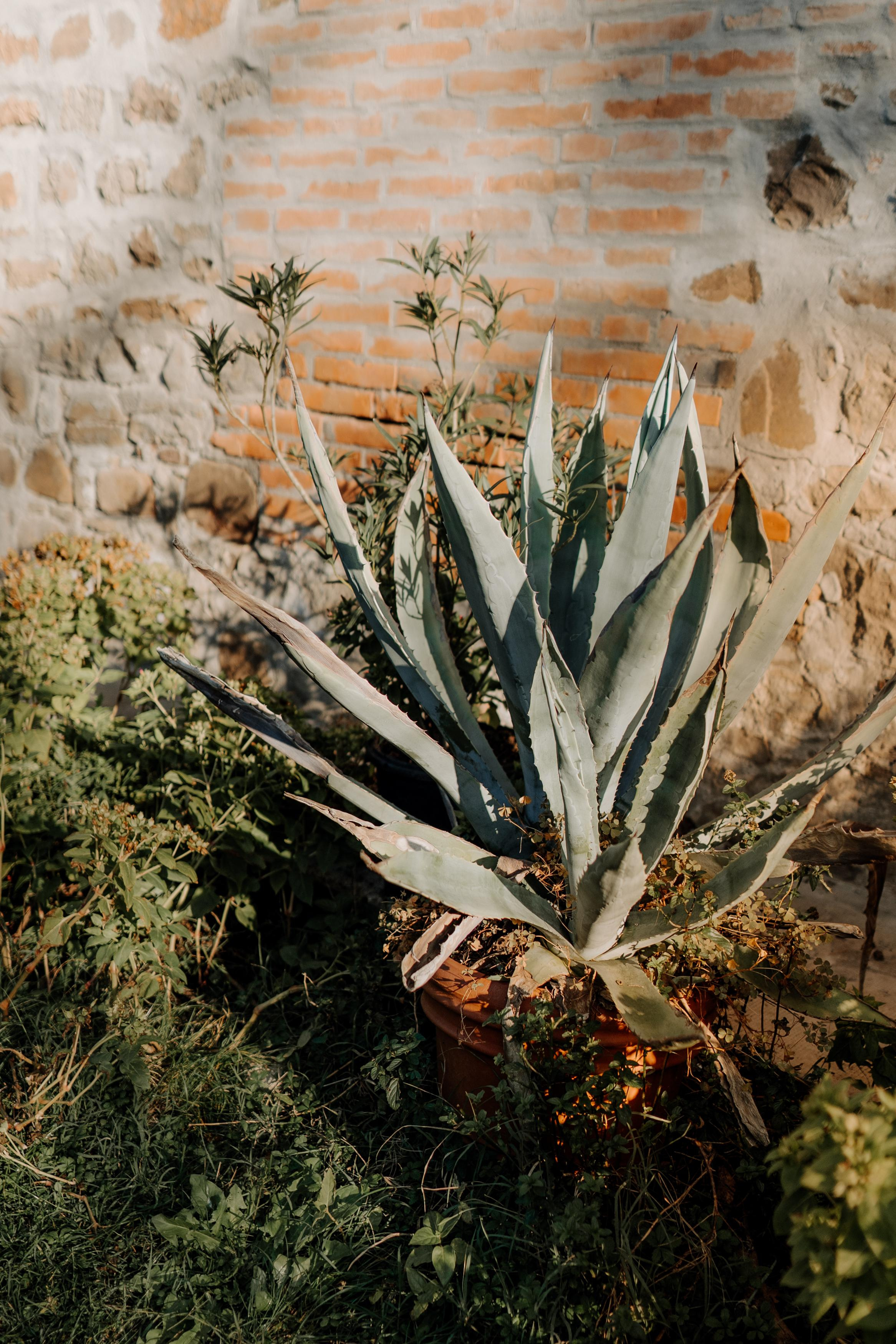 Monterenzio. Country life. Фотограф в Праге Анна Лебедева