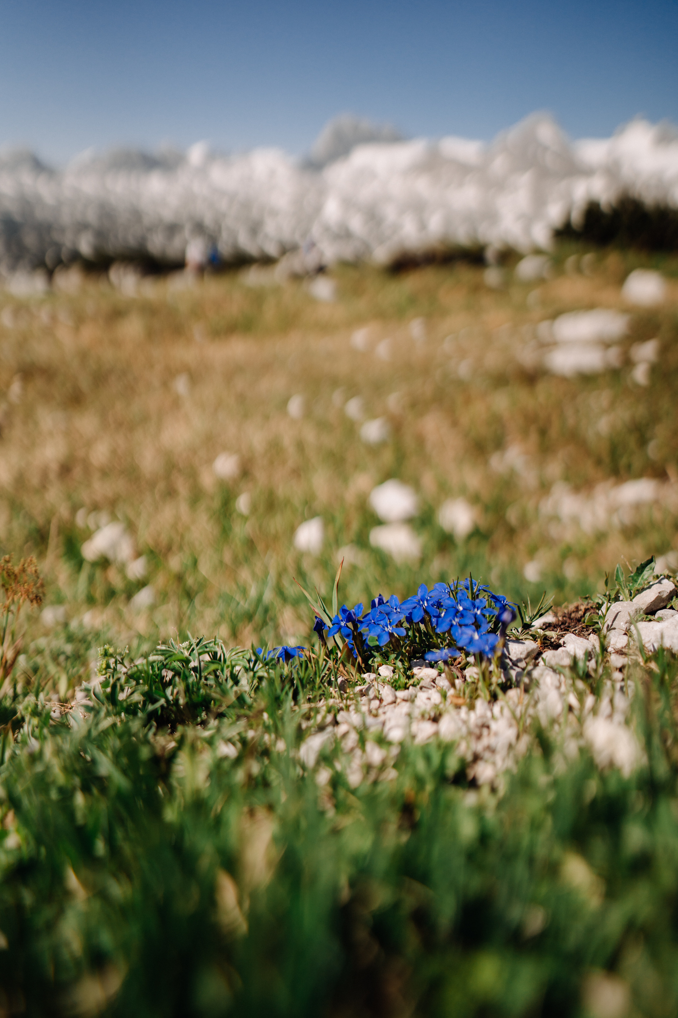 Austria. Фотограф в Праге Анна Лебедева
