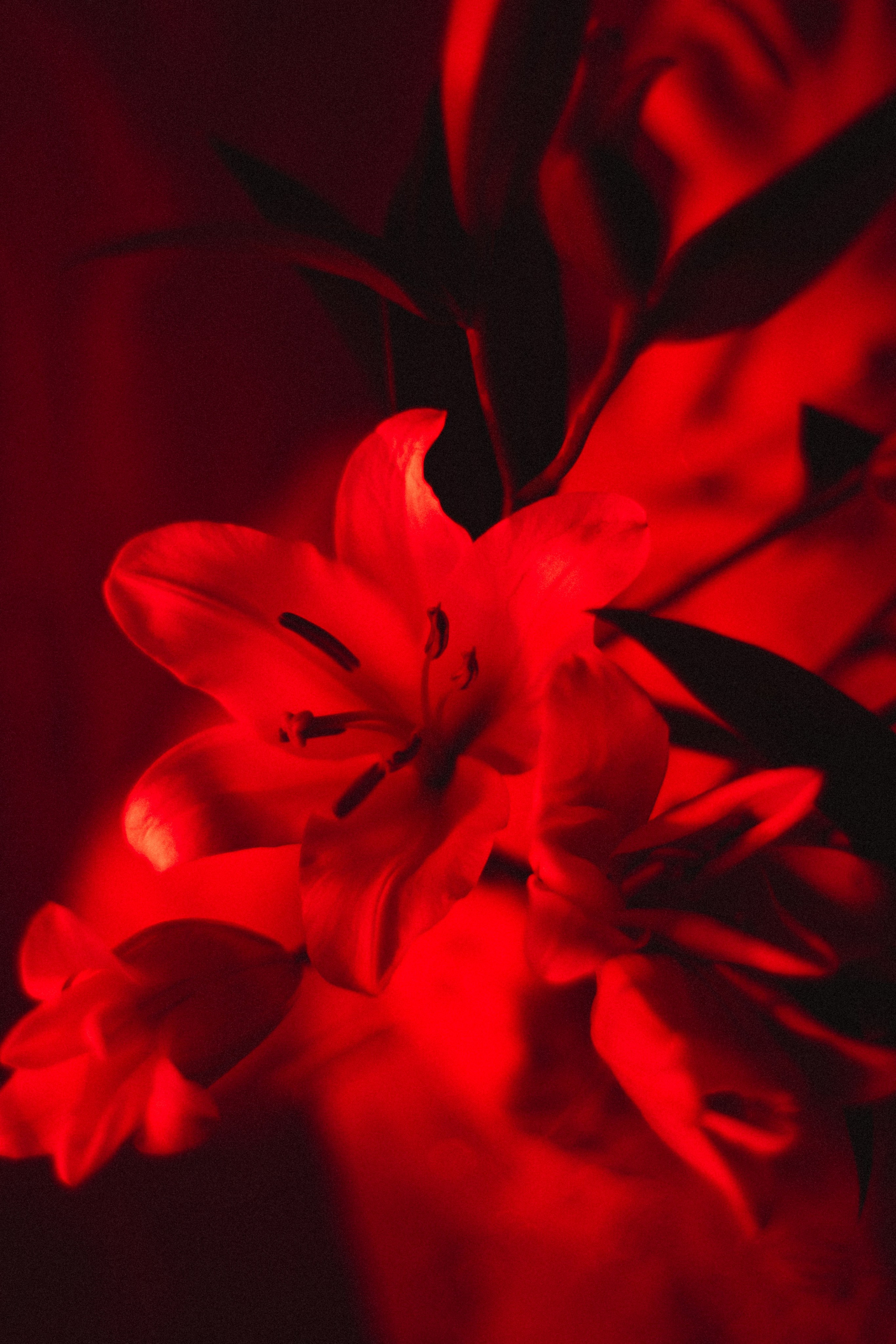 Elisavet. Photographer in Greece Kristina