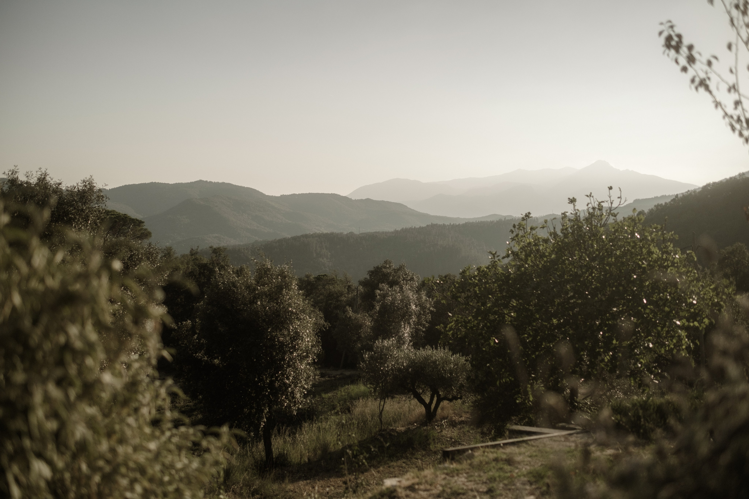 Svetlana & Alman. Monestir Sant Salvi. Paola fotógrafo / videografo de bodas en Barcelona