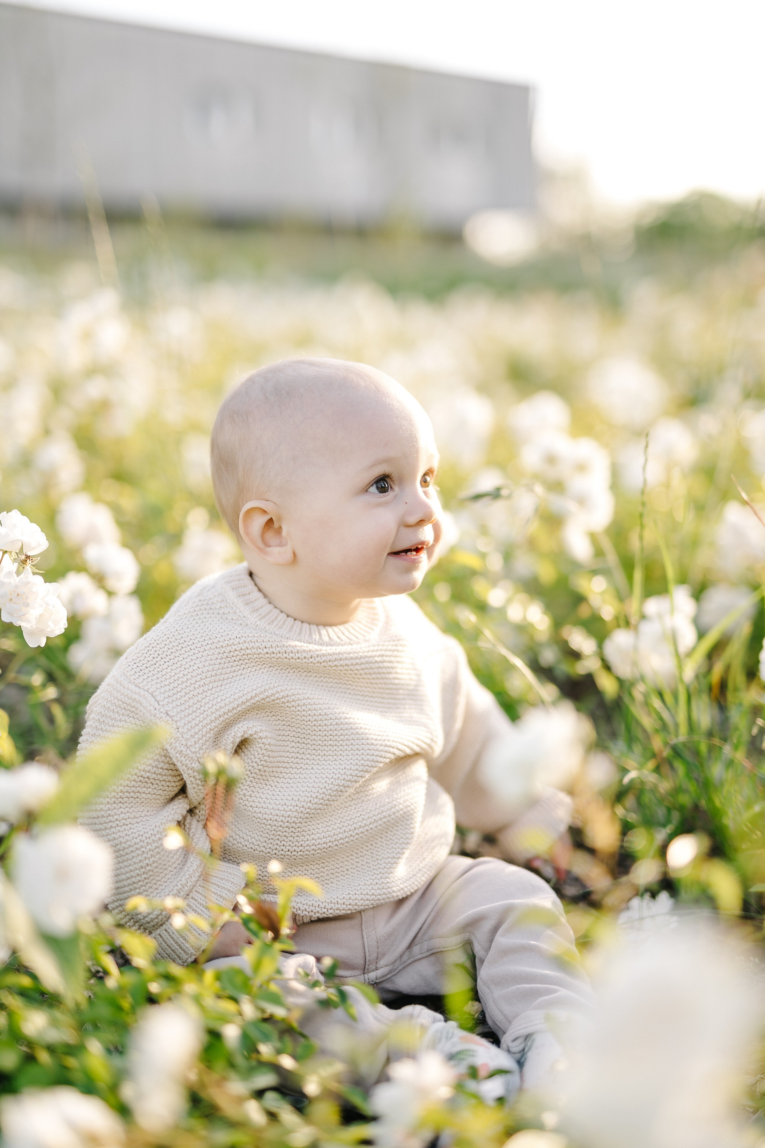 Mini sesja w plenerze. Fotograf Łódź - sesja ciążowa, noworodkowa, dziecięca. Studio w Łodzi