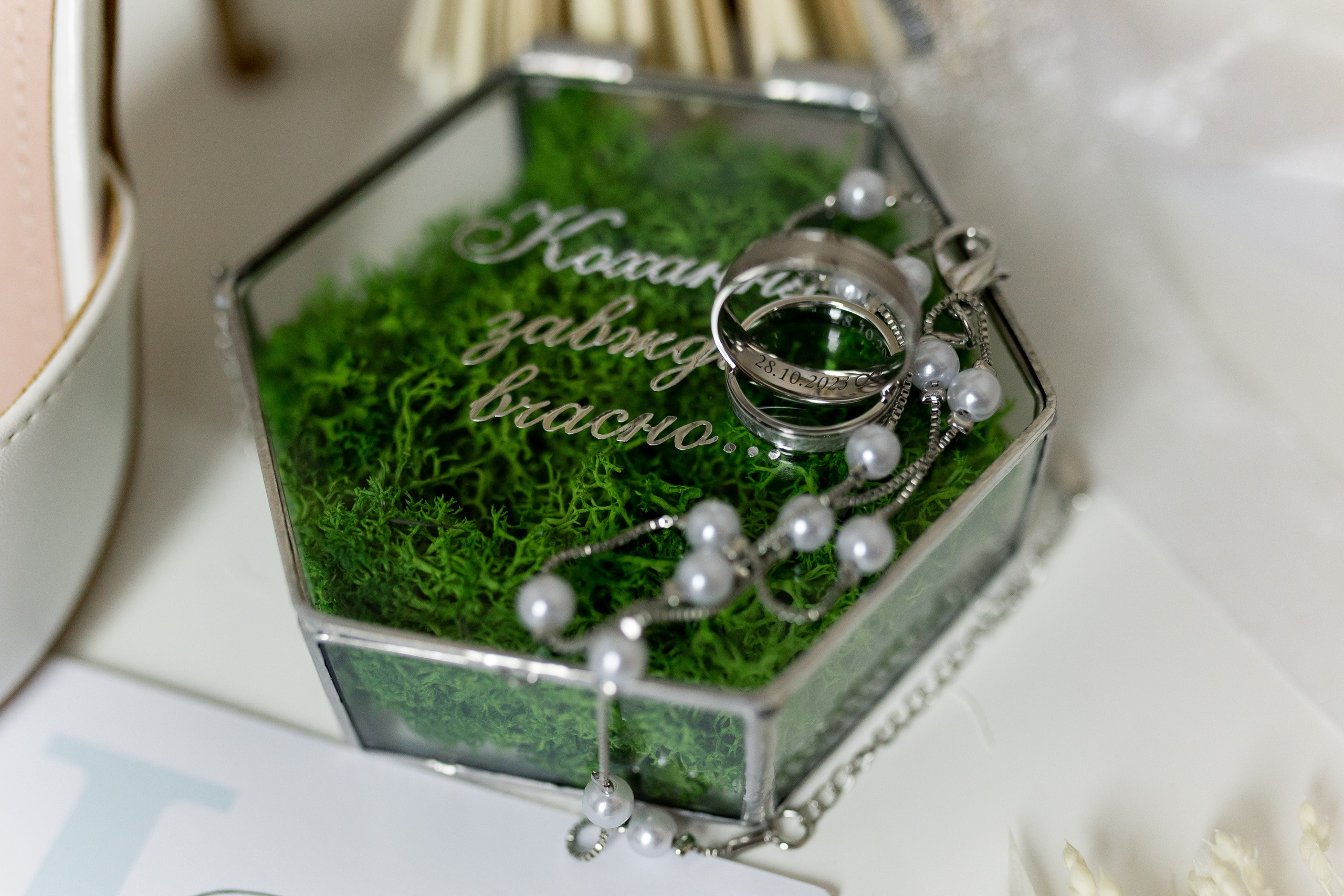 Лариса та Роман. Ірина Терещук