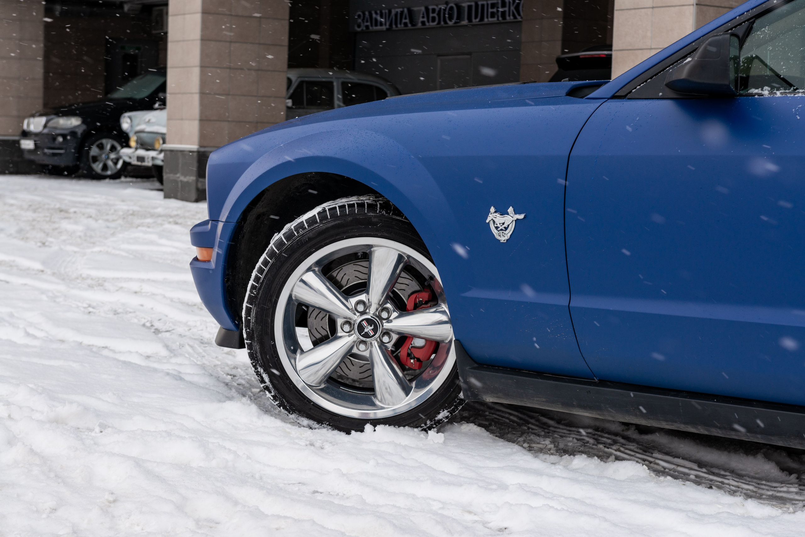 Фотосъемка Ford Mustang для продажи. ФОТОГРАФ МЕКСИКА КИНТАНА-РОО