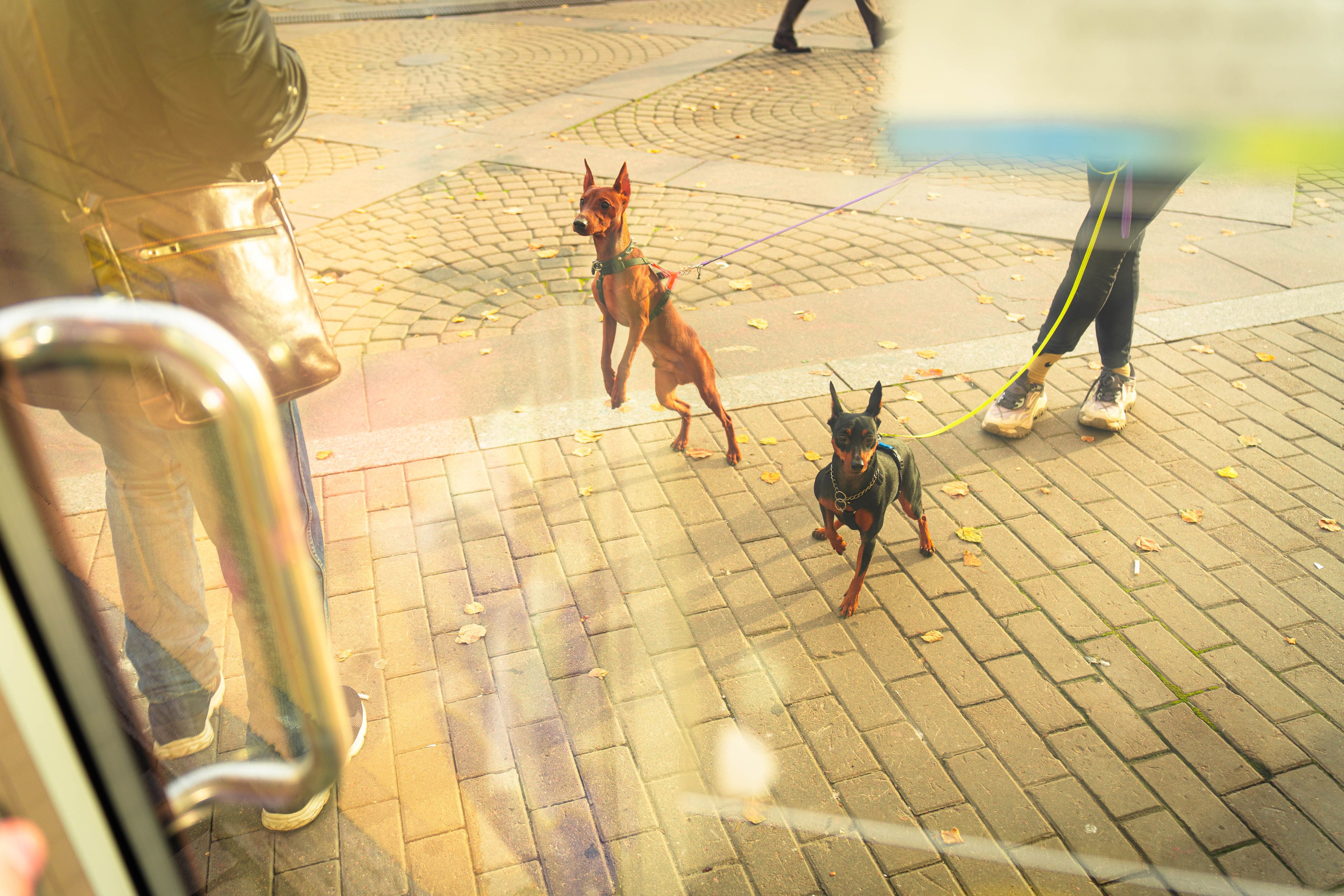 PHOTOGRAPHY. CameraStan