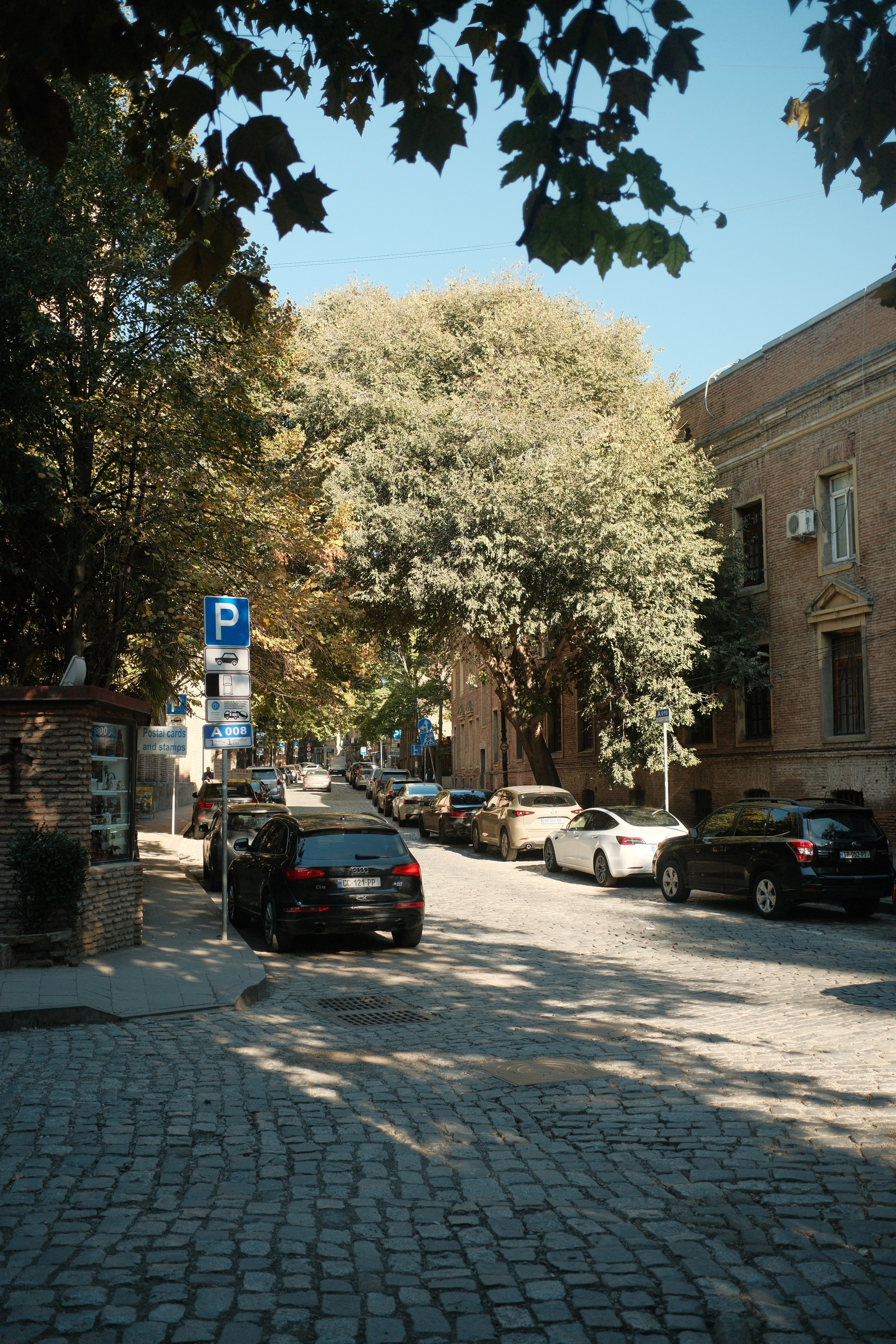 Georgia. Portrait and Lifestyle Photographer in Vienna — Nick Pavlov