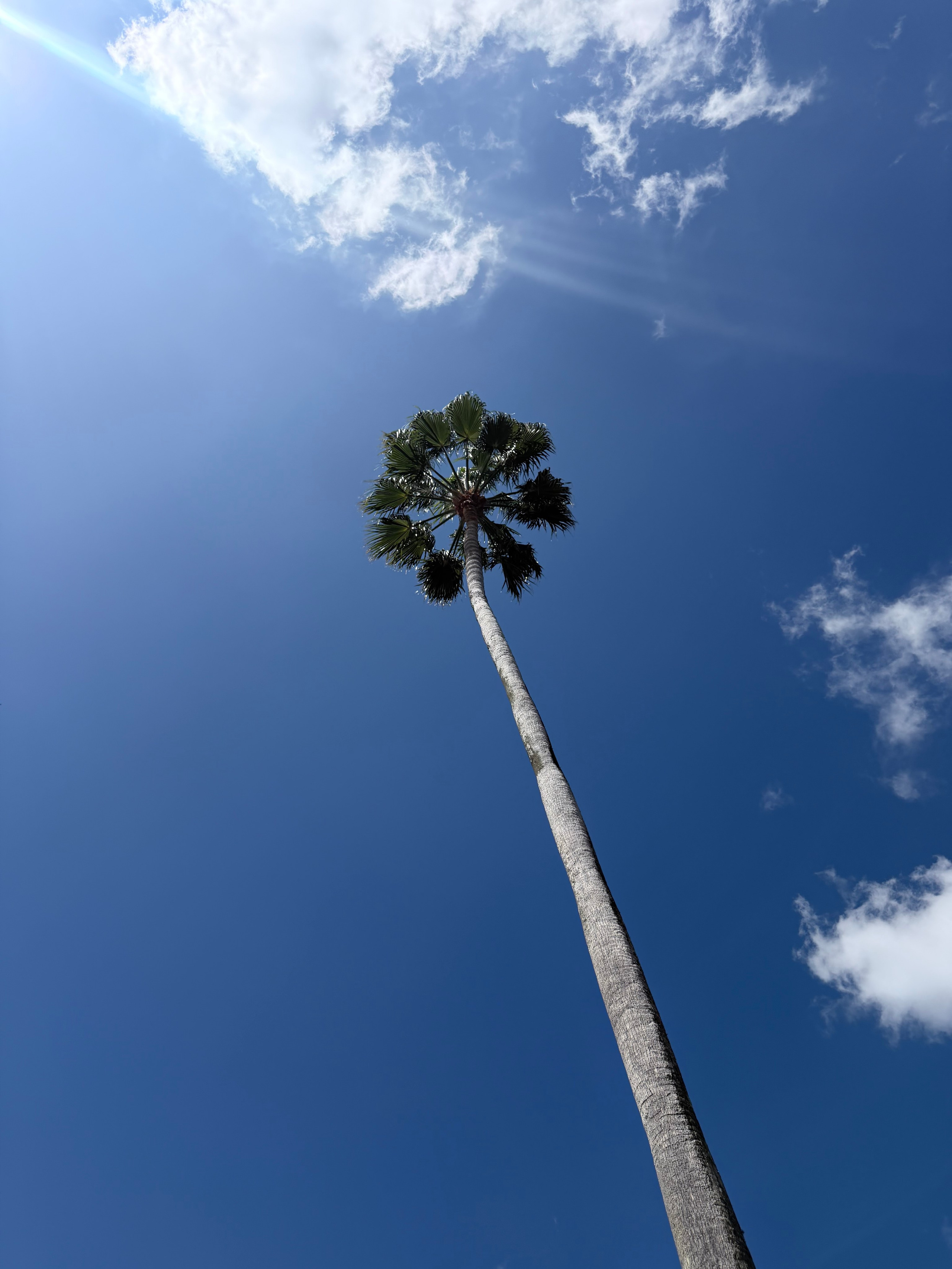 Mario Brown’s Lens Work