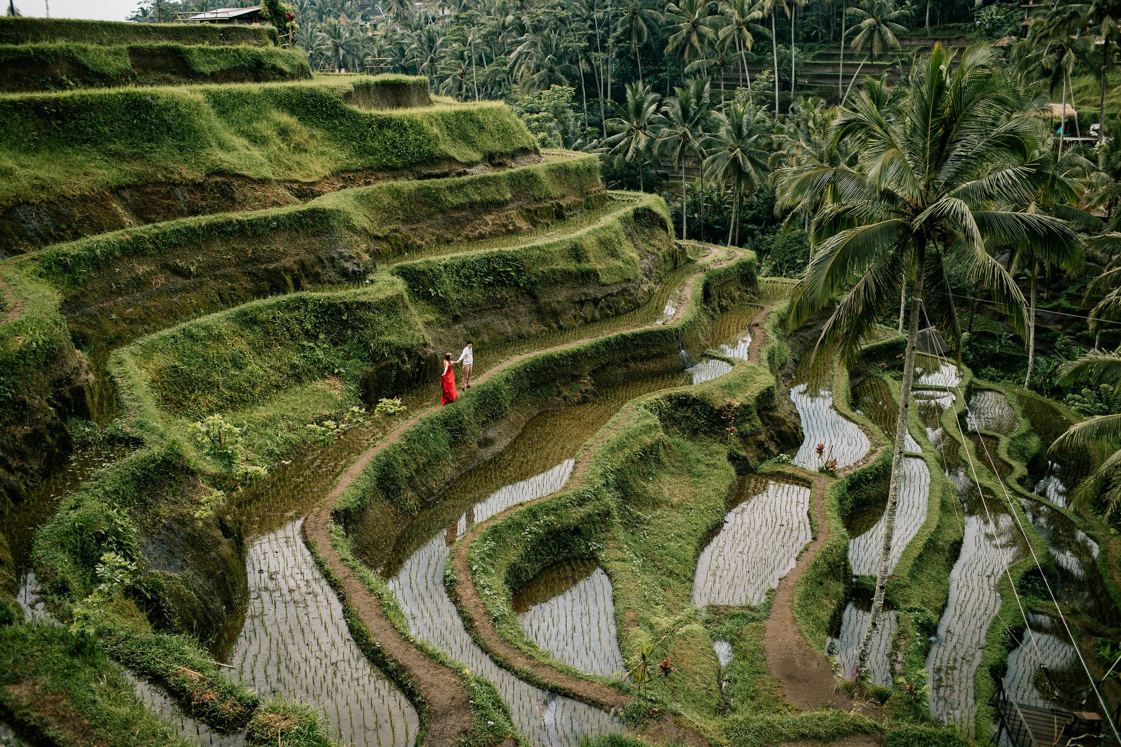 Rice terraces + secret temple. Getitfeel — Aesthetic Photography and Videography