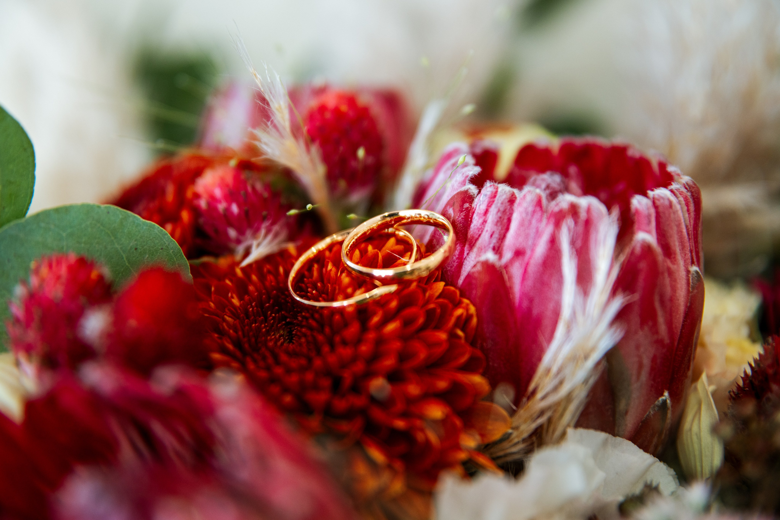 Galeria e Filme de Casamento — Rita & Délio — Quinta do Juncal. Luxury Wedding Photography & Cinematic Films | Portugal & Destination Weddings | Ricardo & Mary Pictures