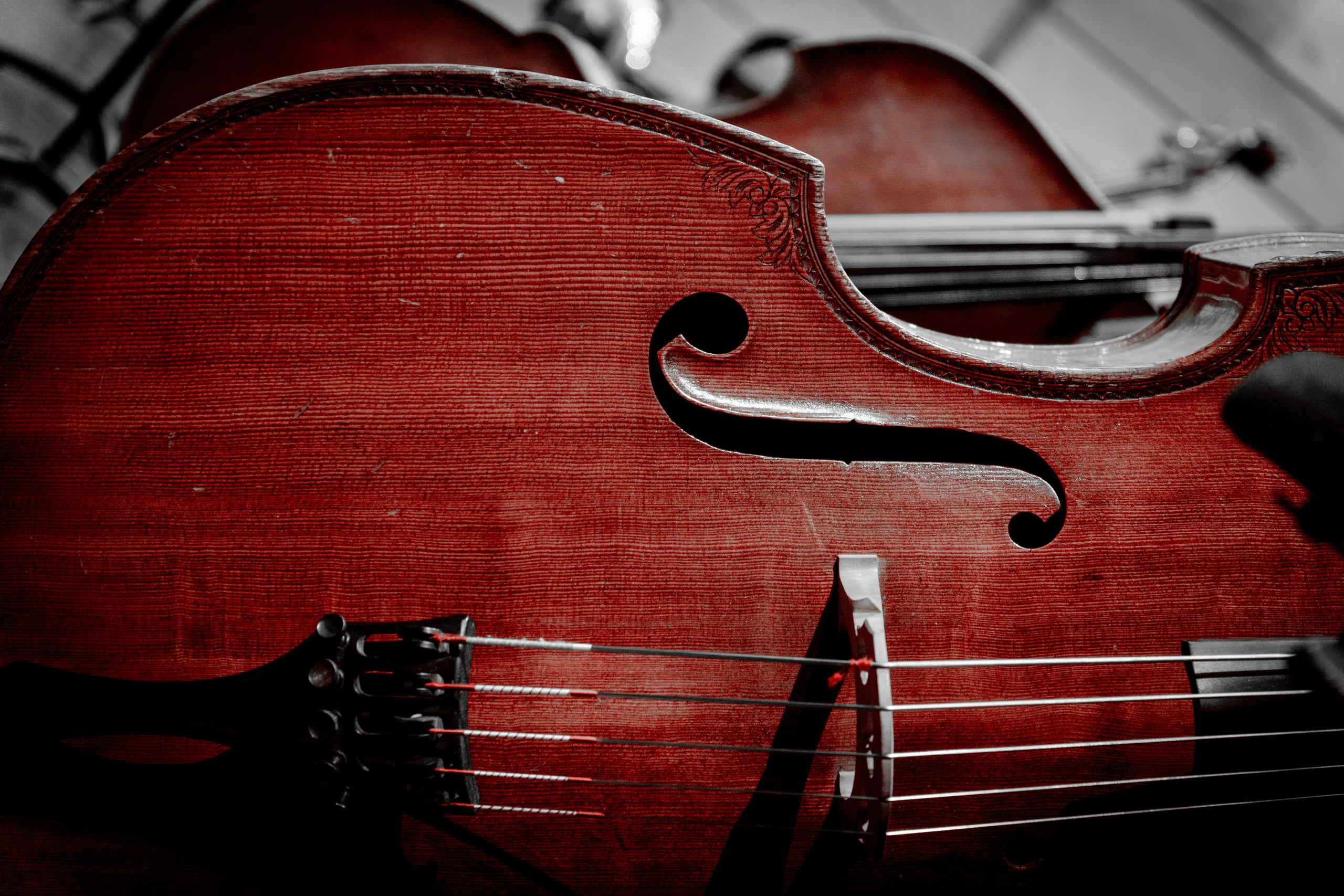 Symphony Haifa 2024. Главное меню