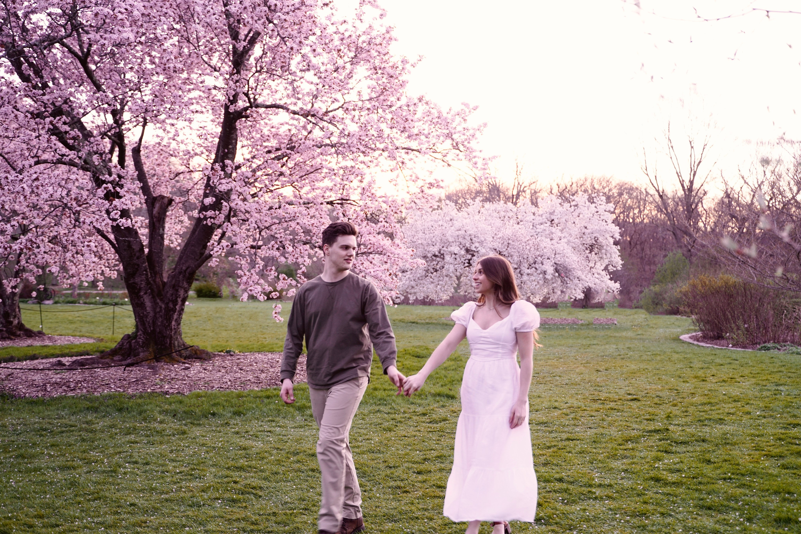 Kassandra and Andrew at Harvard Arboretum. Stefanovich Photography | Boston, MA