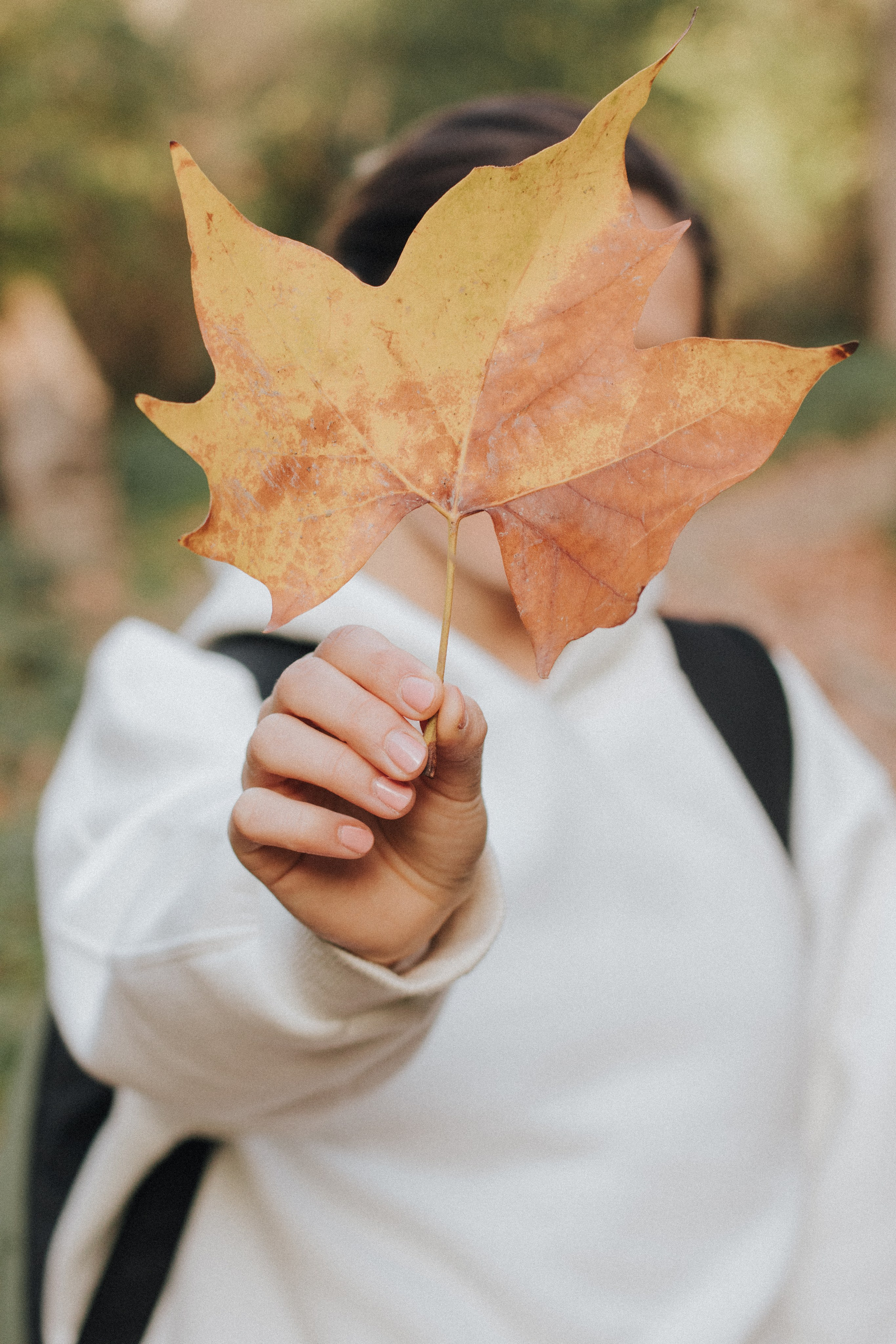 Алина, Tibidabo. Главная
