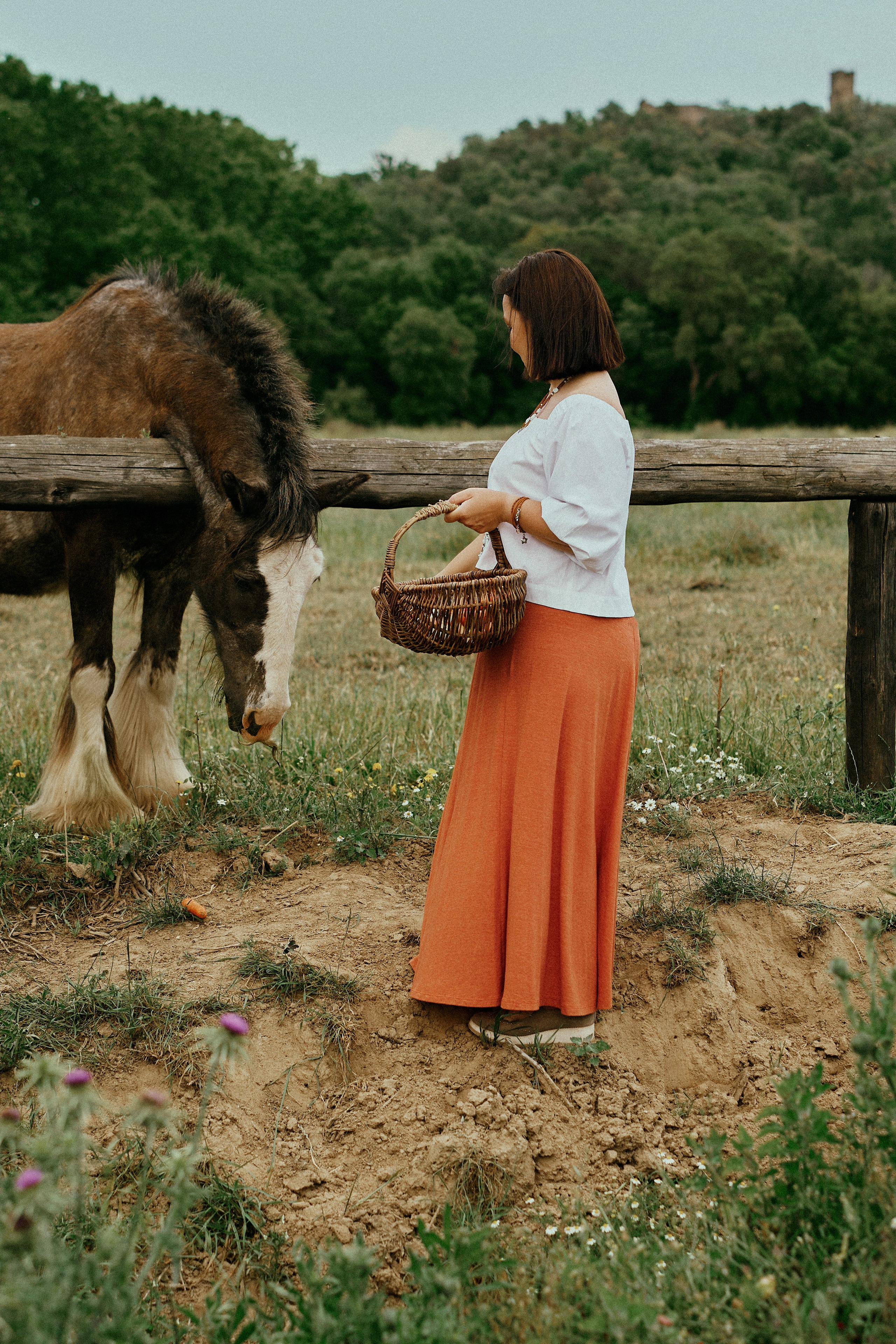 Летний день с лошадьми. Fotógrafa en España Zhanna Zakharchenko