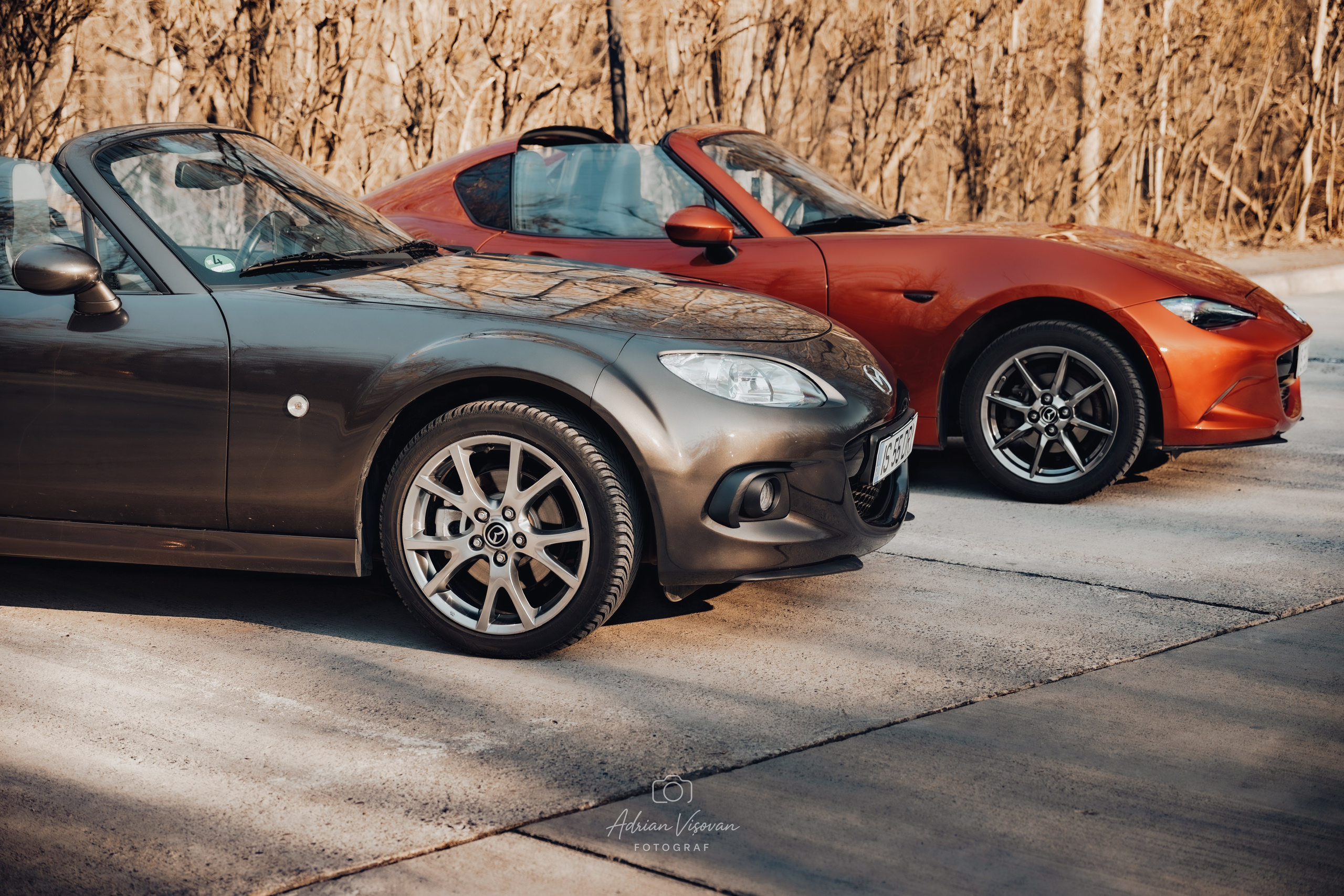 Cars & Coffee Iași 2026 (1st). Adrian Visovan - Fotograf Iasi