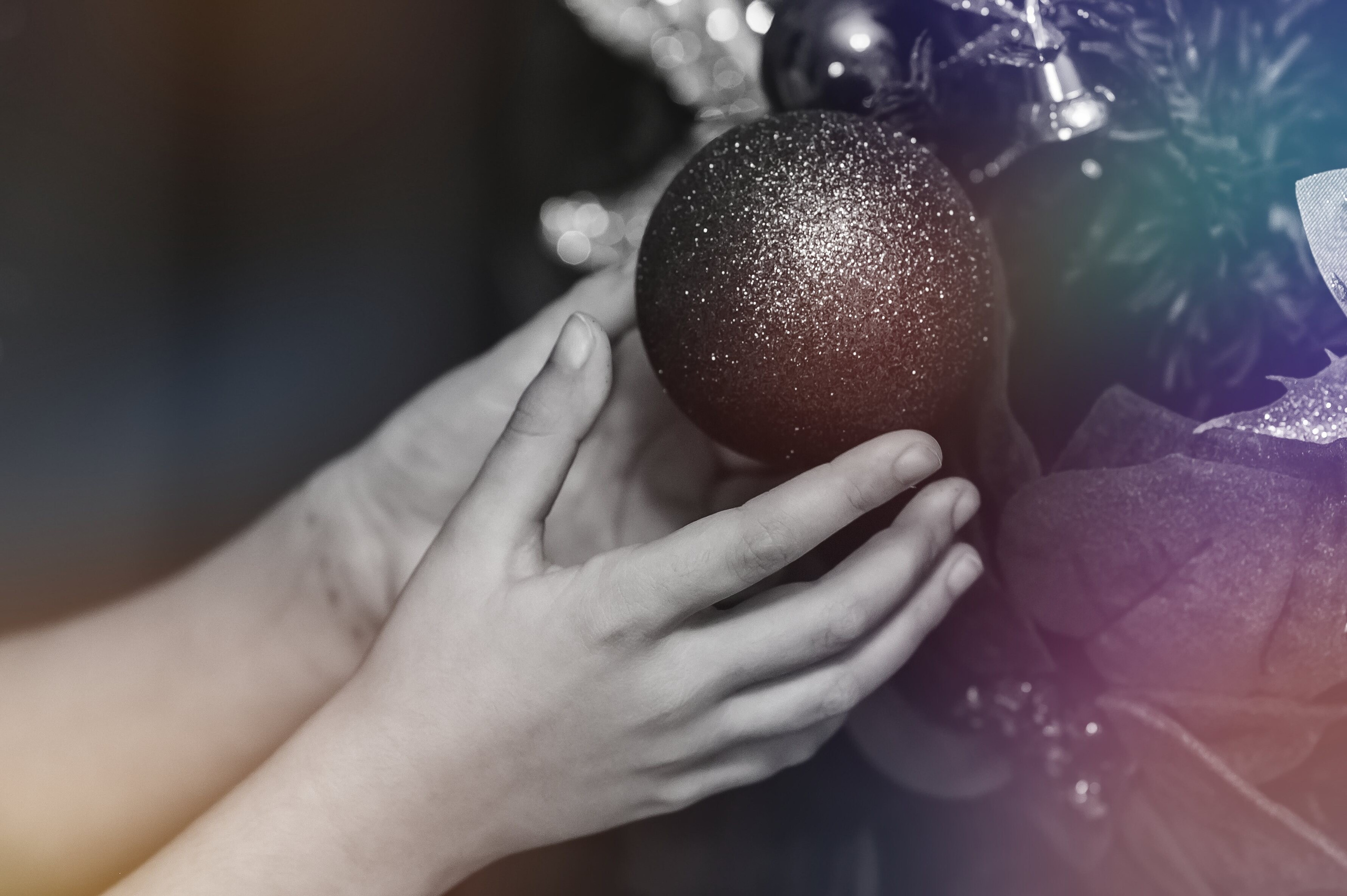 Sedinta Craciun Sofia