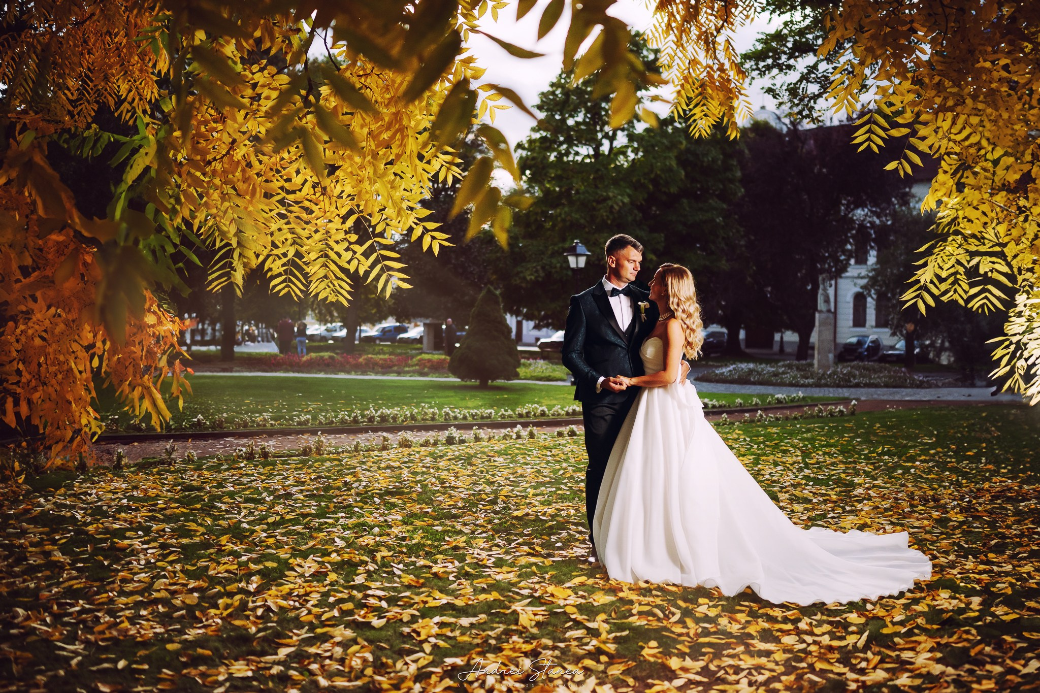 Portofolio. Andrei Stanea