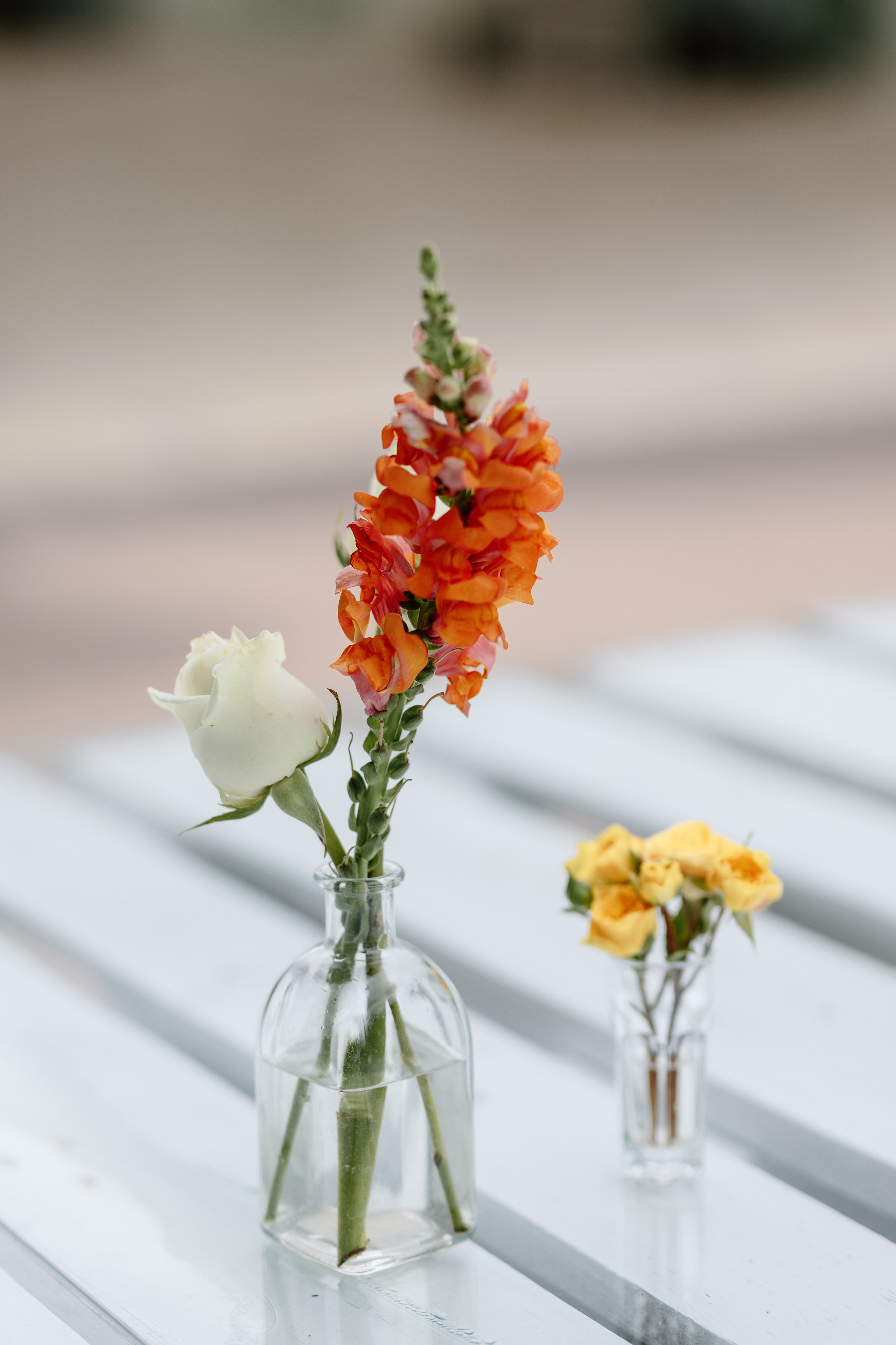 Corina & Dumitru. Main