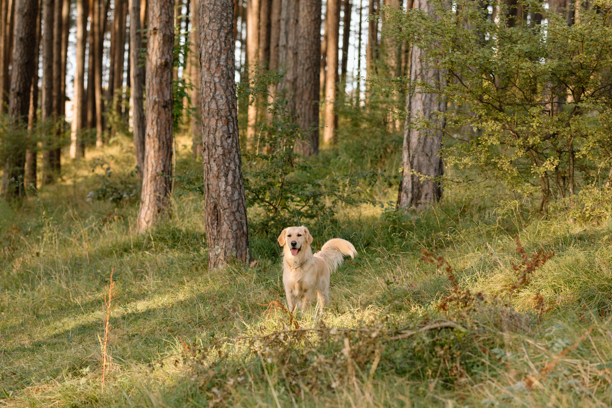 Sanziana, Daniel & Alexandru — Family. Main