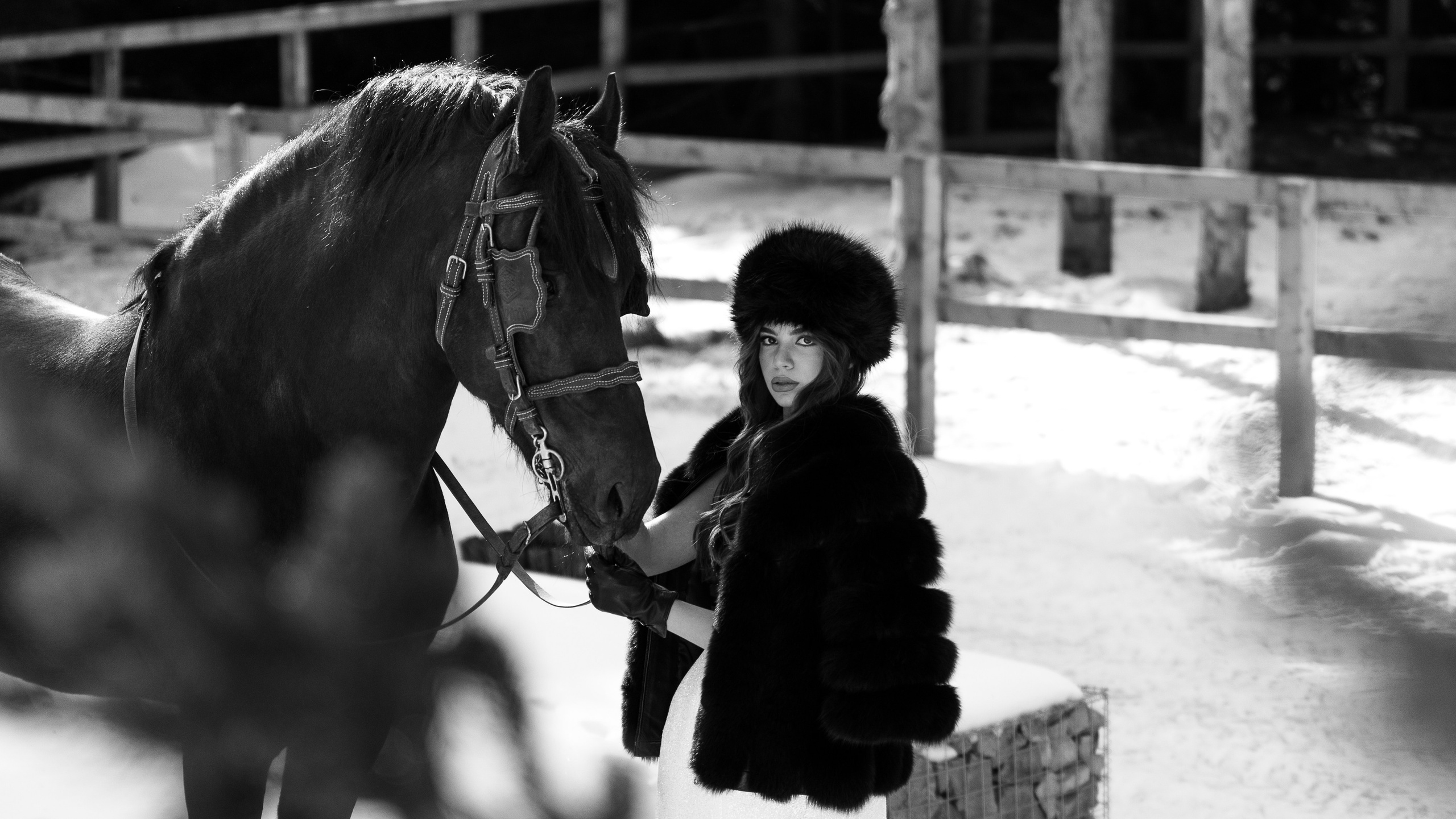 Golub Photography | Events & Portrait